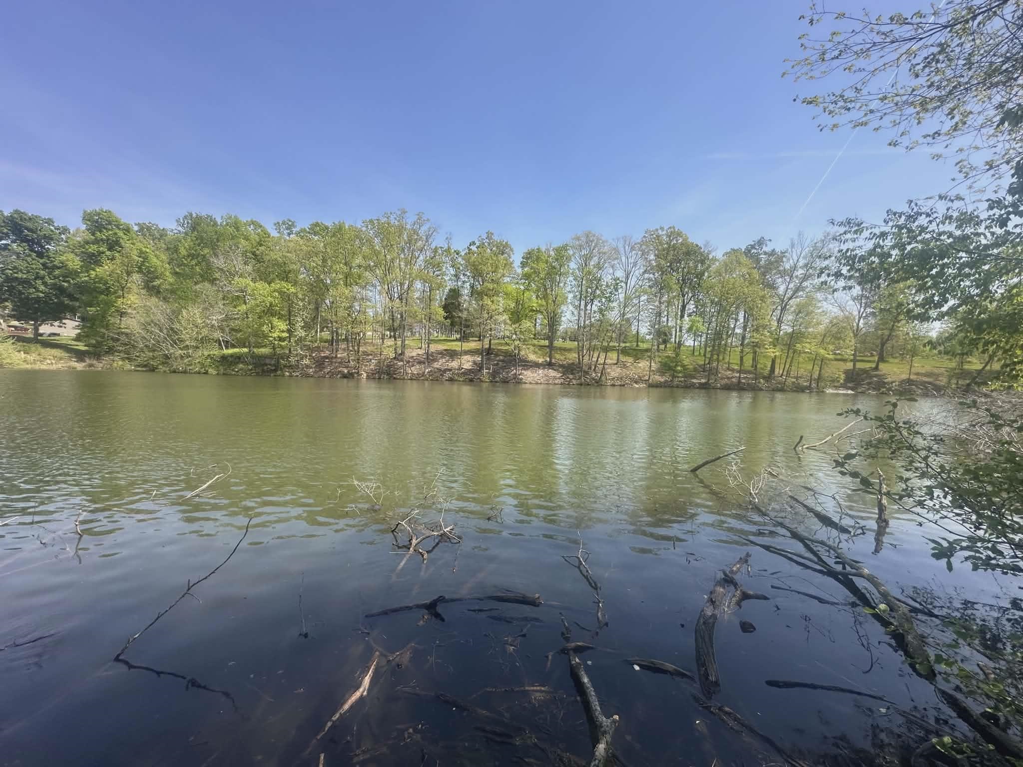 305 Heron Cove Rd - Photo 2