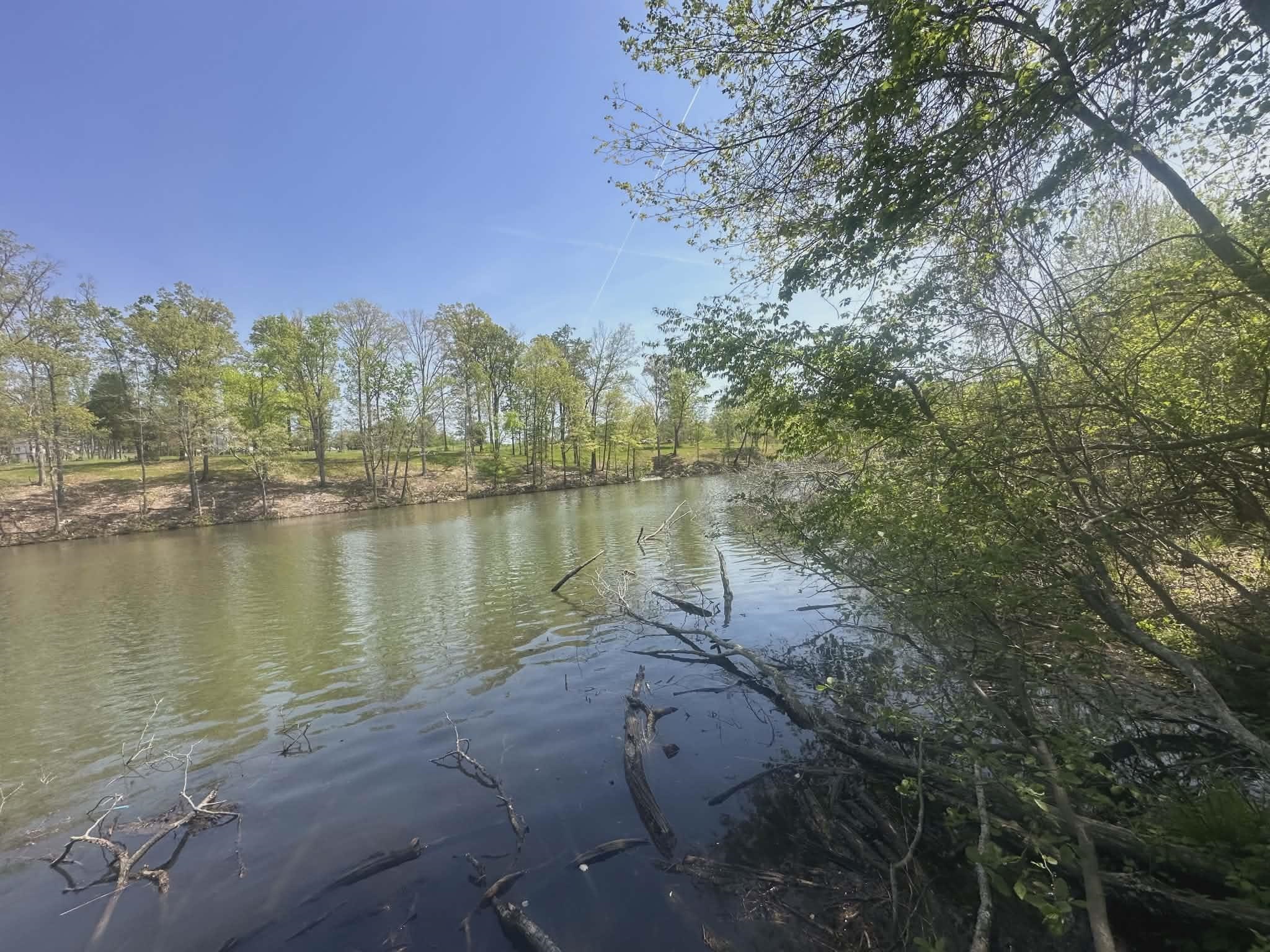 305 Heron Cove Rd - Photo 3
