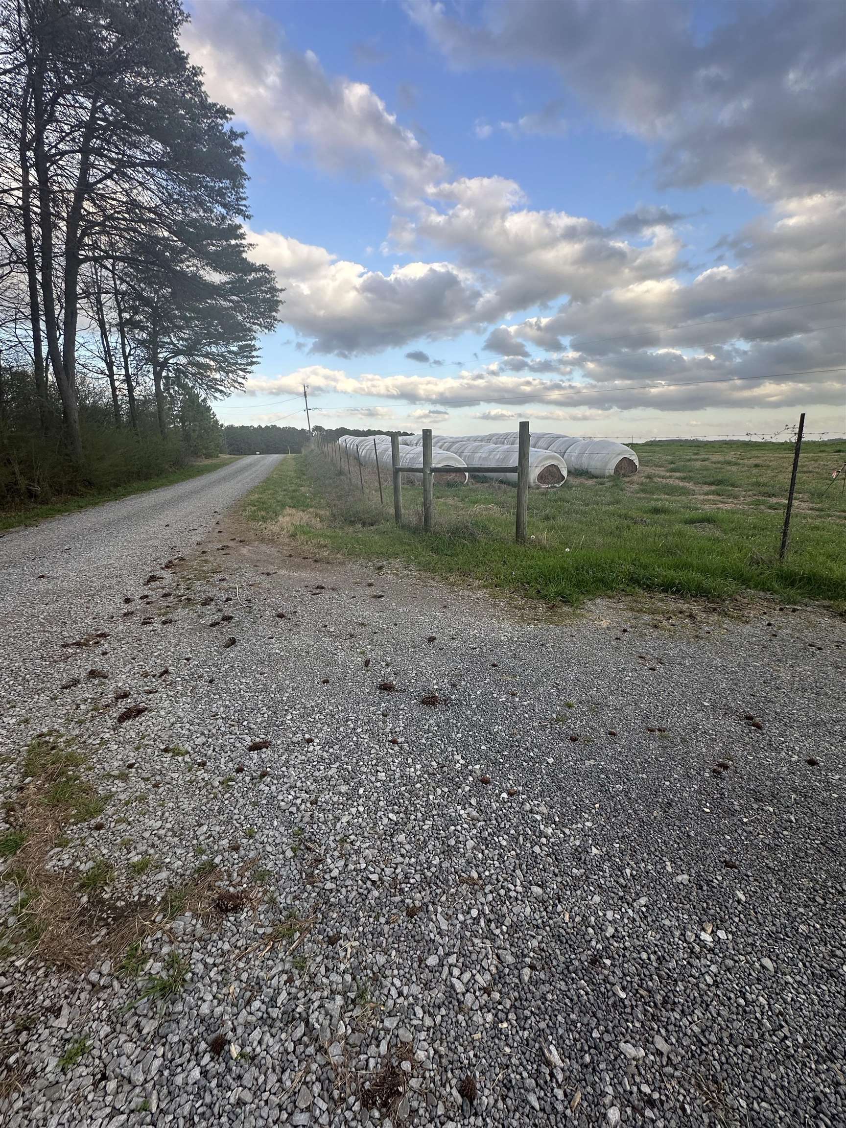 296 Co Rd 1046
