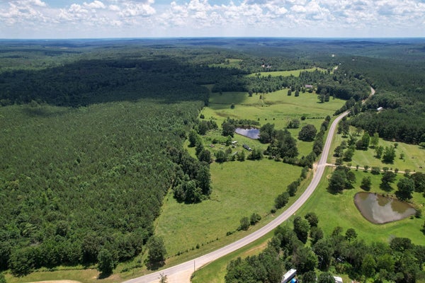 HWY 20, PHIL CAMPBELL, AL 35581 - Image efed501ec14cfb7de18a455a56ca9ea1/145696489