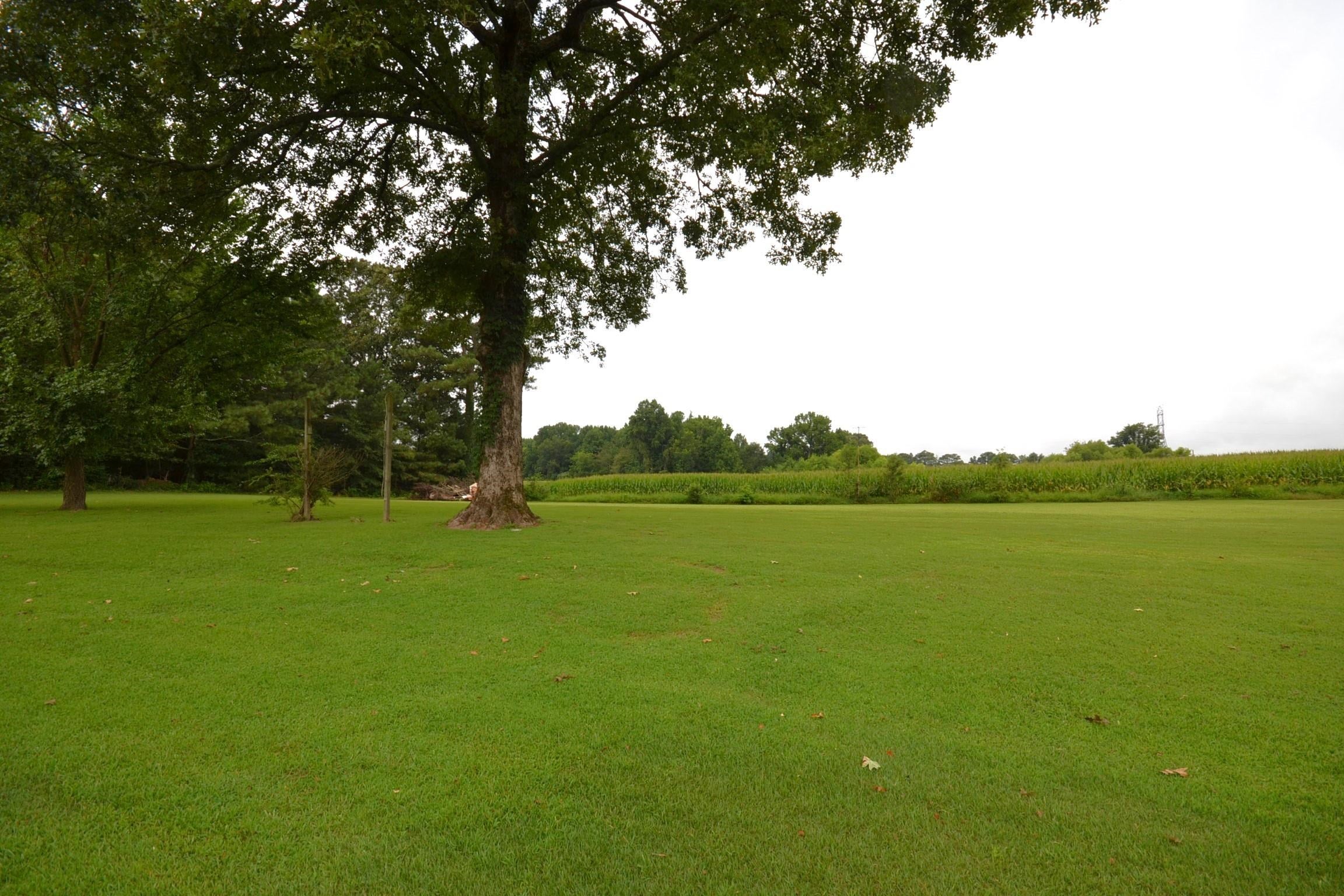 4433 Co Rd 1223