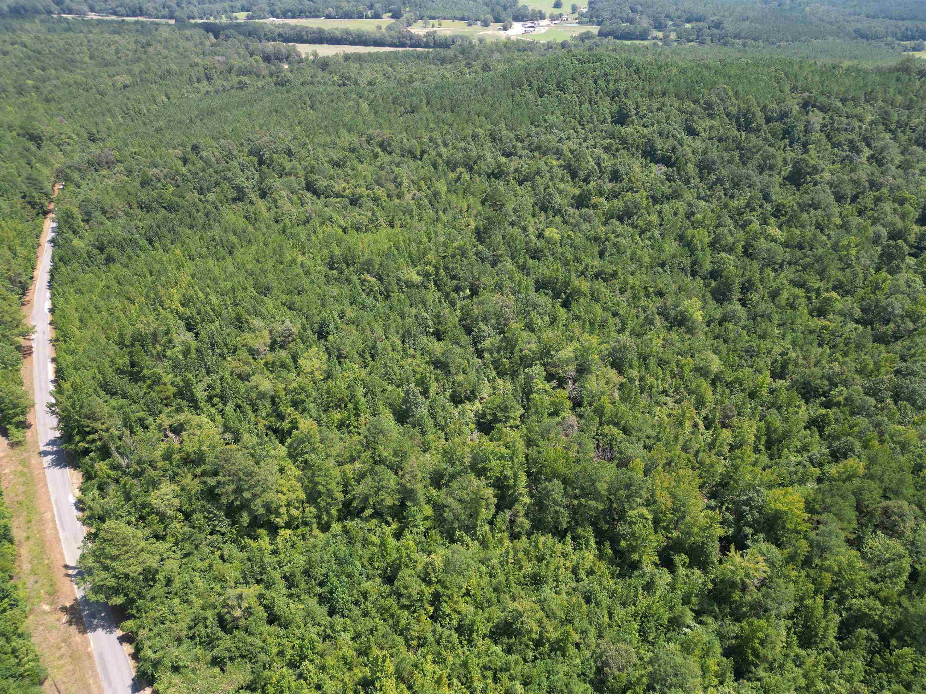 0 Co Rd 26 - Photo 2