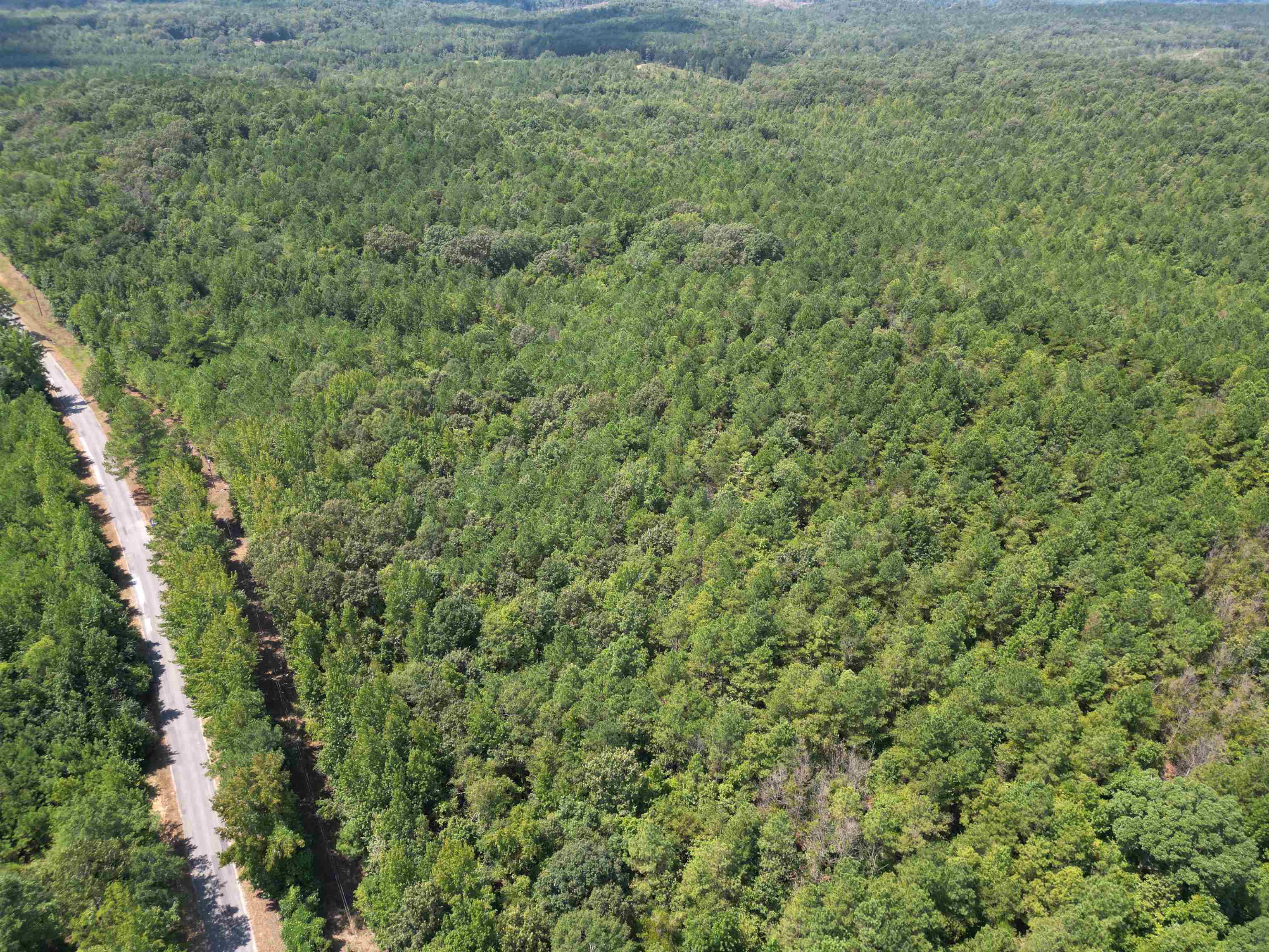 0 Co Rd 26 - Photo 3