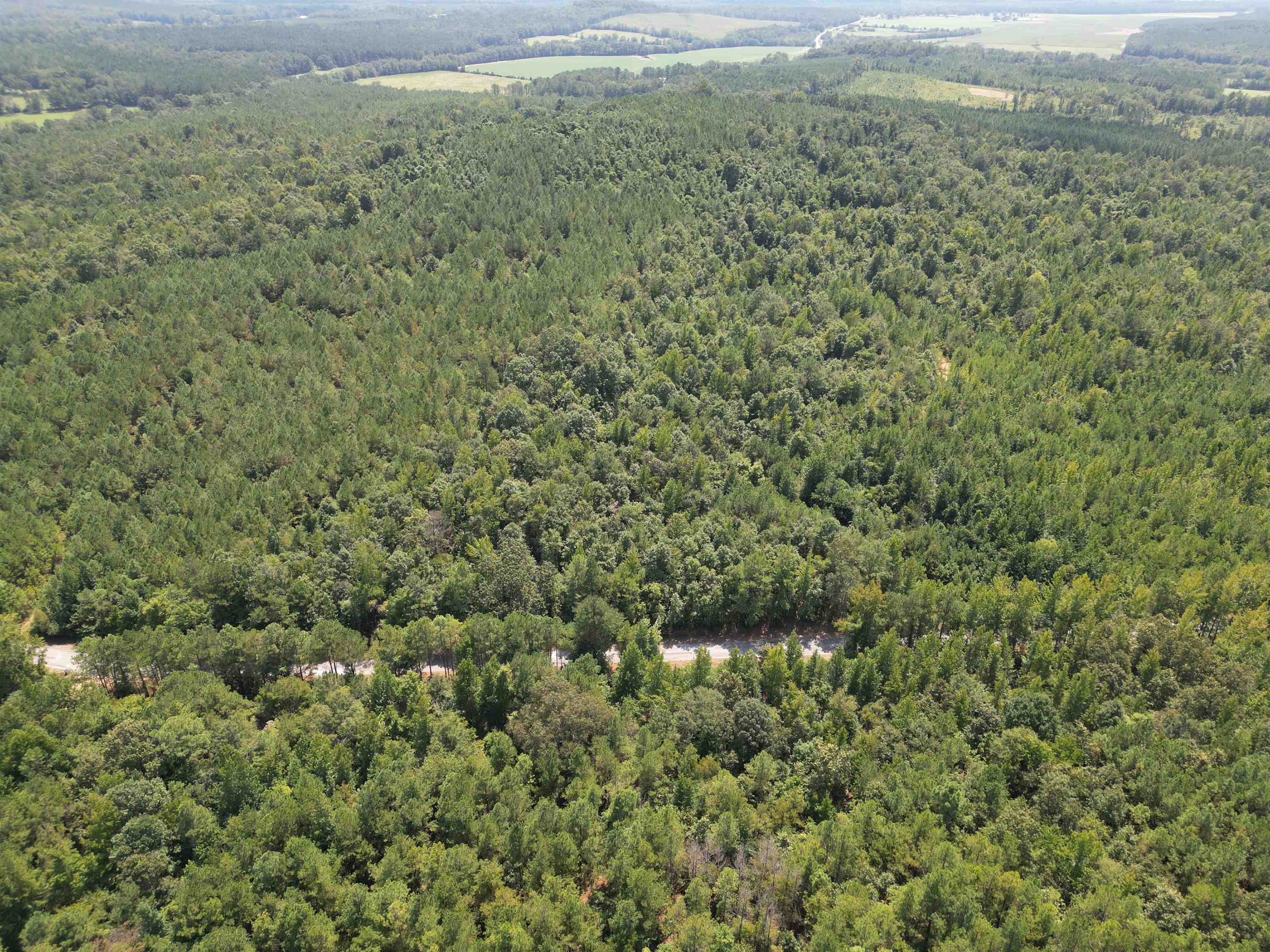 0 Co Rd 26 - Photo 4