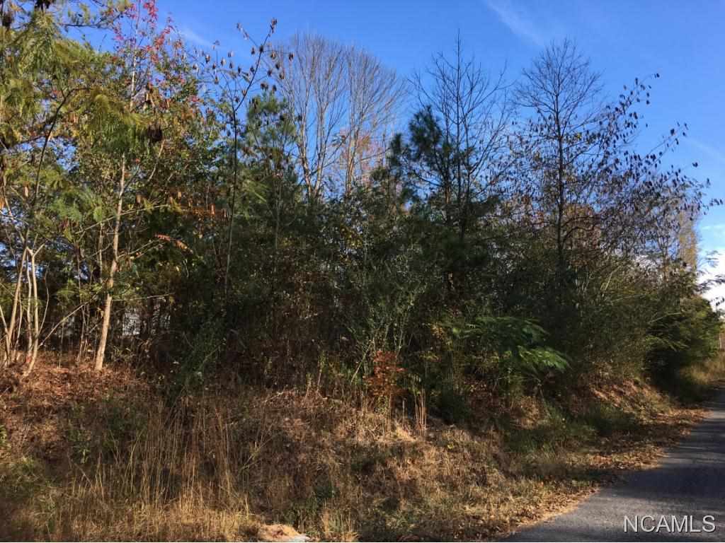 12 Co Rd 218