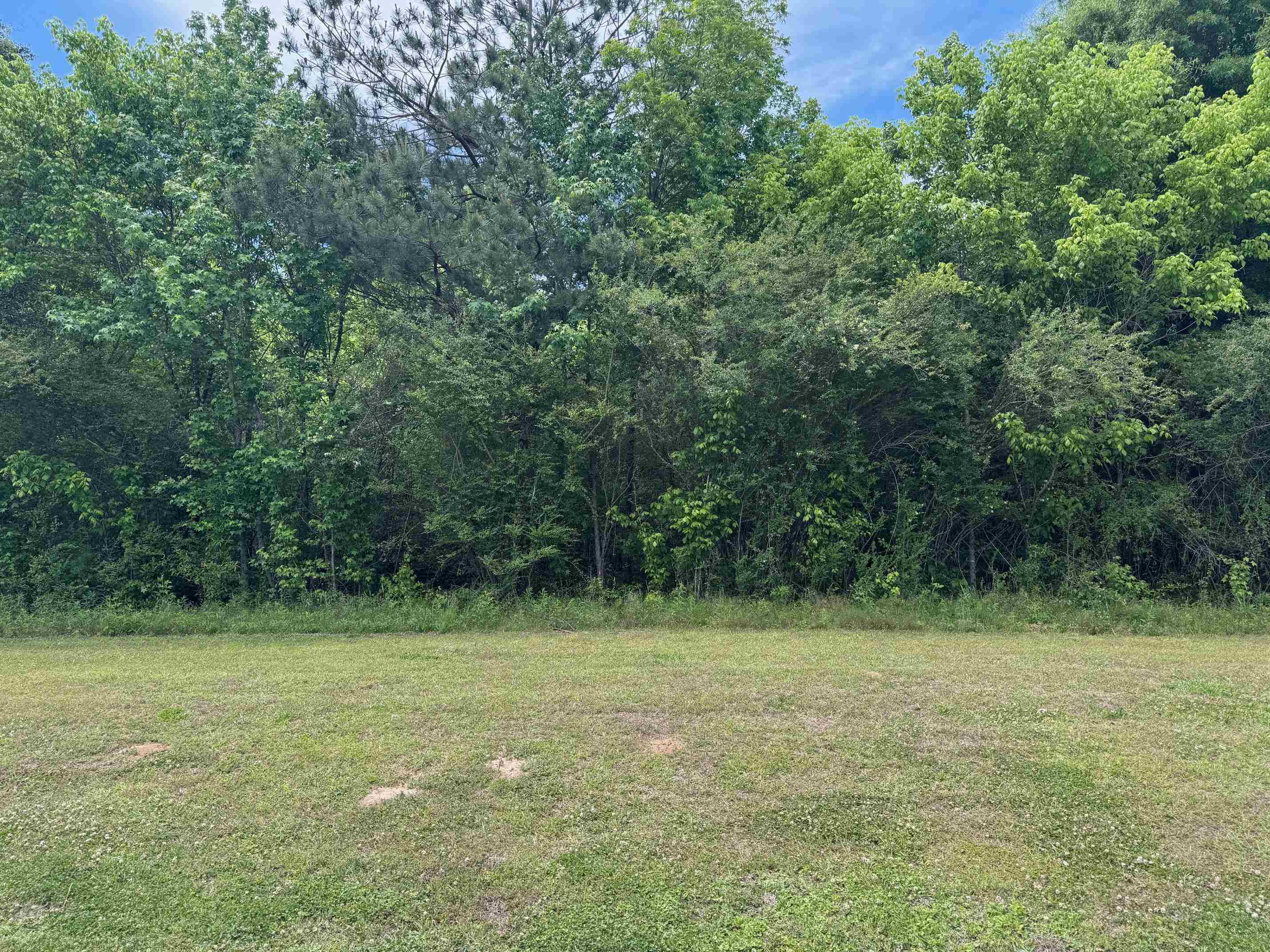 2542 Co Rd 437