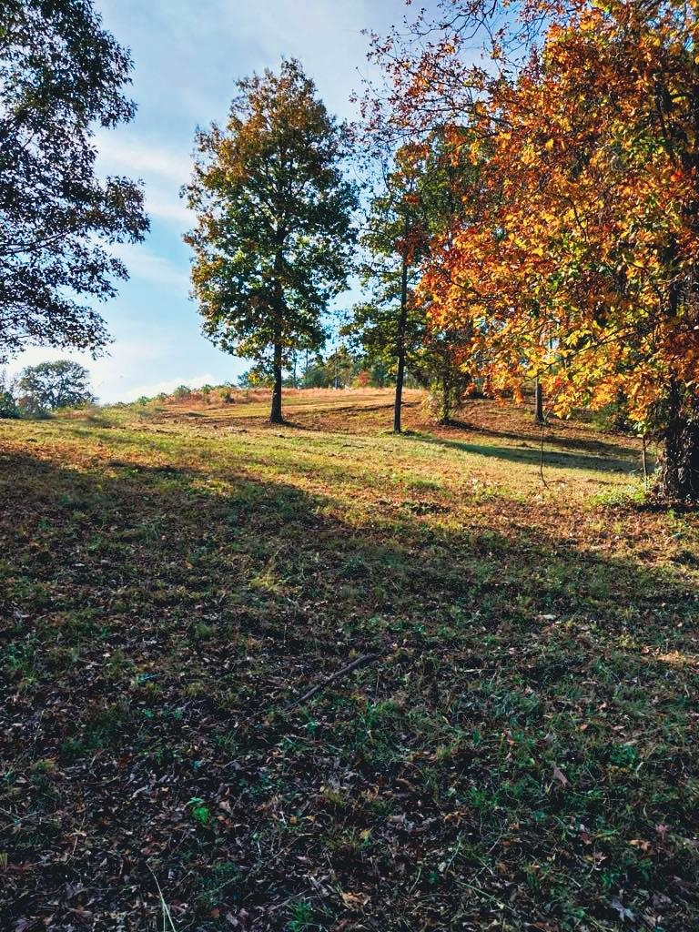 Photo 1 of 3 — 0 Whippoorwill Dr, Red Bay, AL 35582