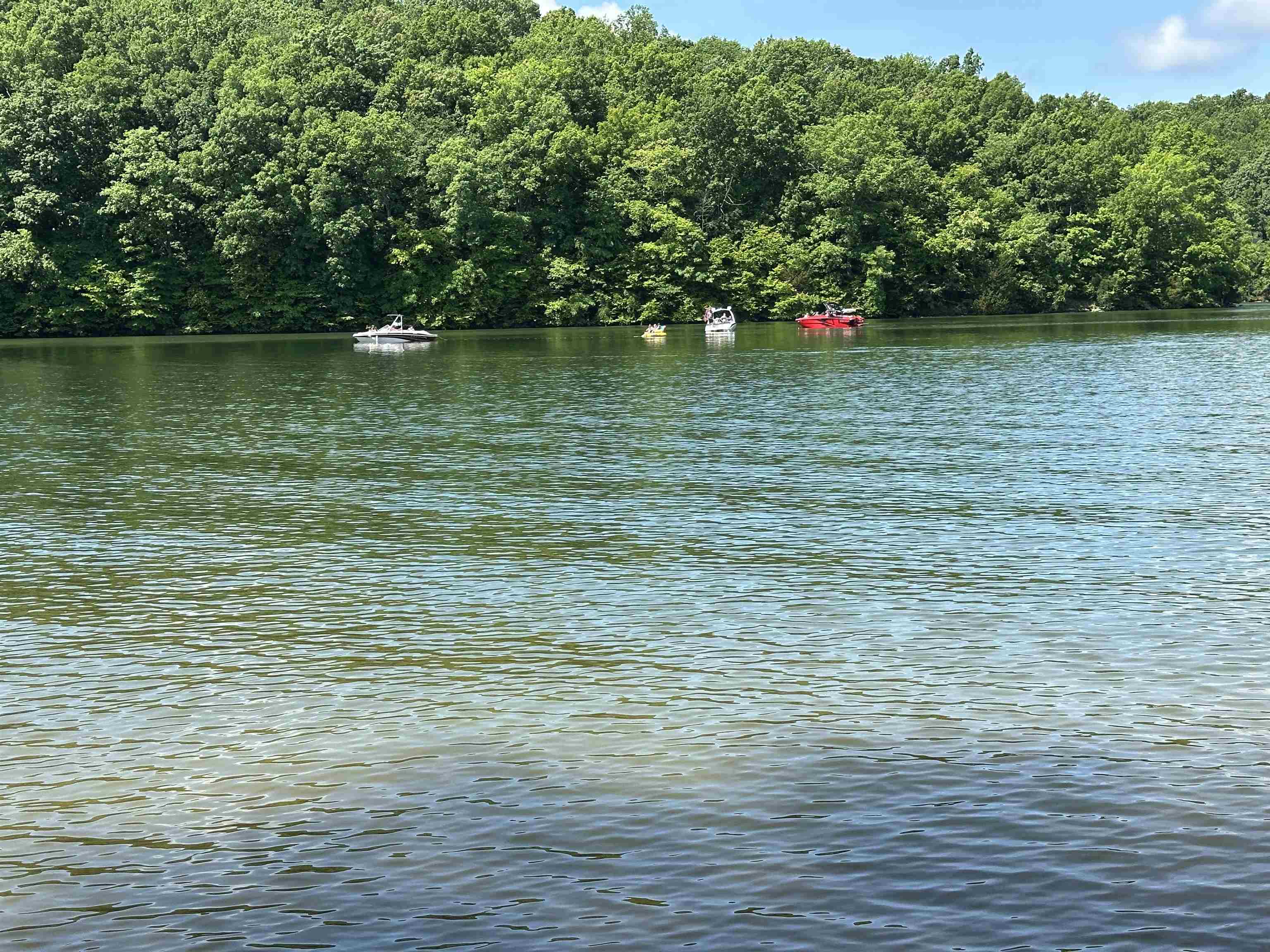133 Cove Point Rd