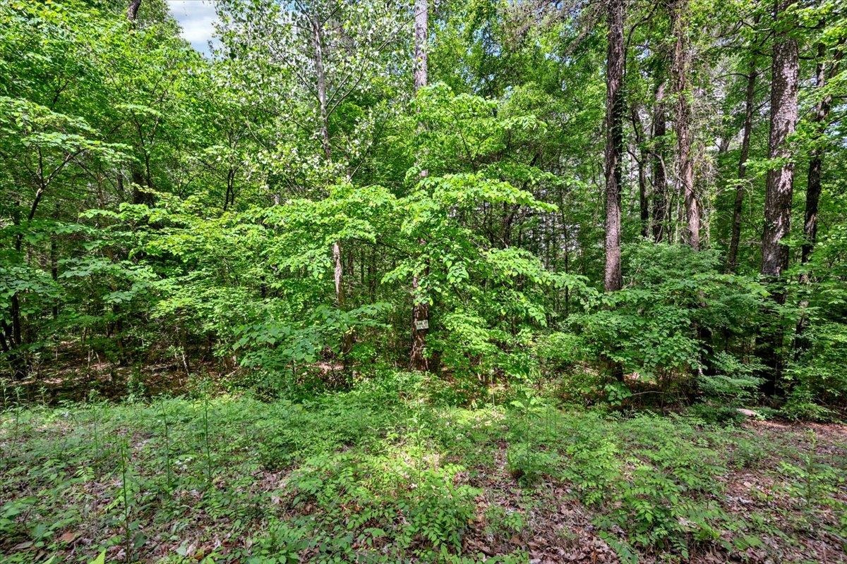 Lot 10 Mill Creek Rd