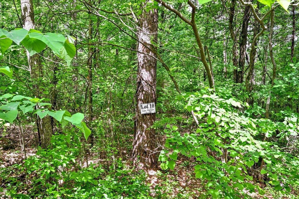 Lot 10 Mill Creek Rd