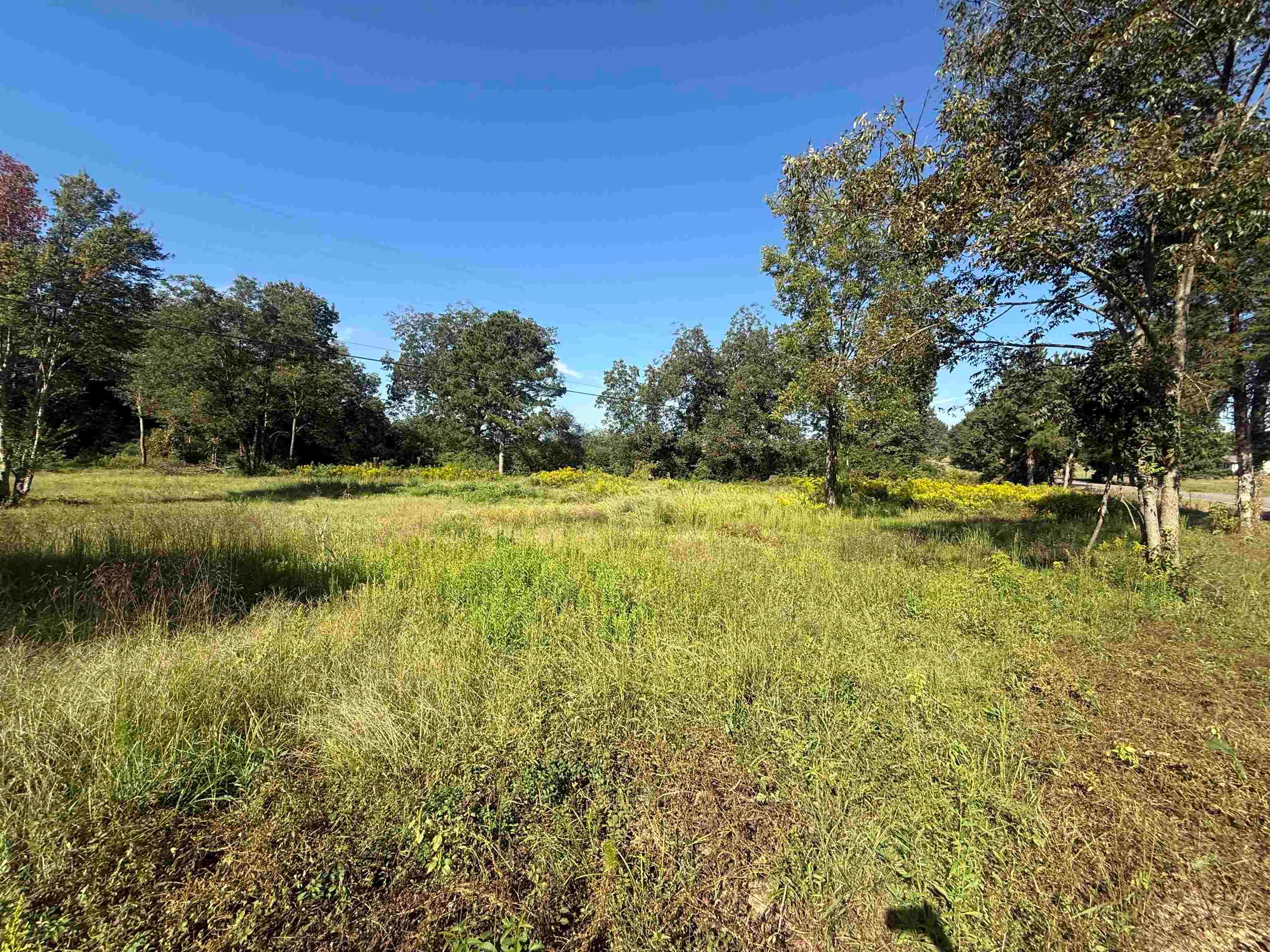 3992 Co Rd 781