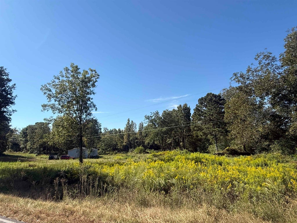 Photo of 3992 Co Rd 781, Cullman, AL 35058 (MLS # 531703)