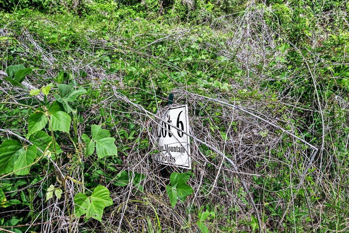 Lot 6 Mill Creek Rd