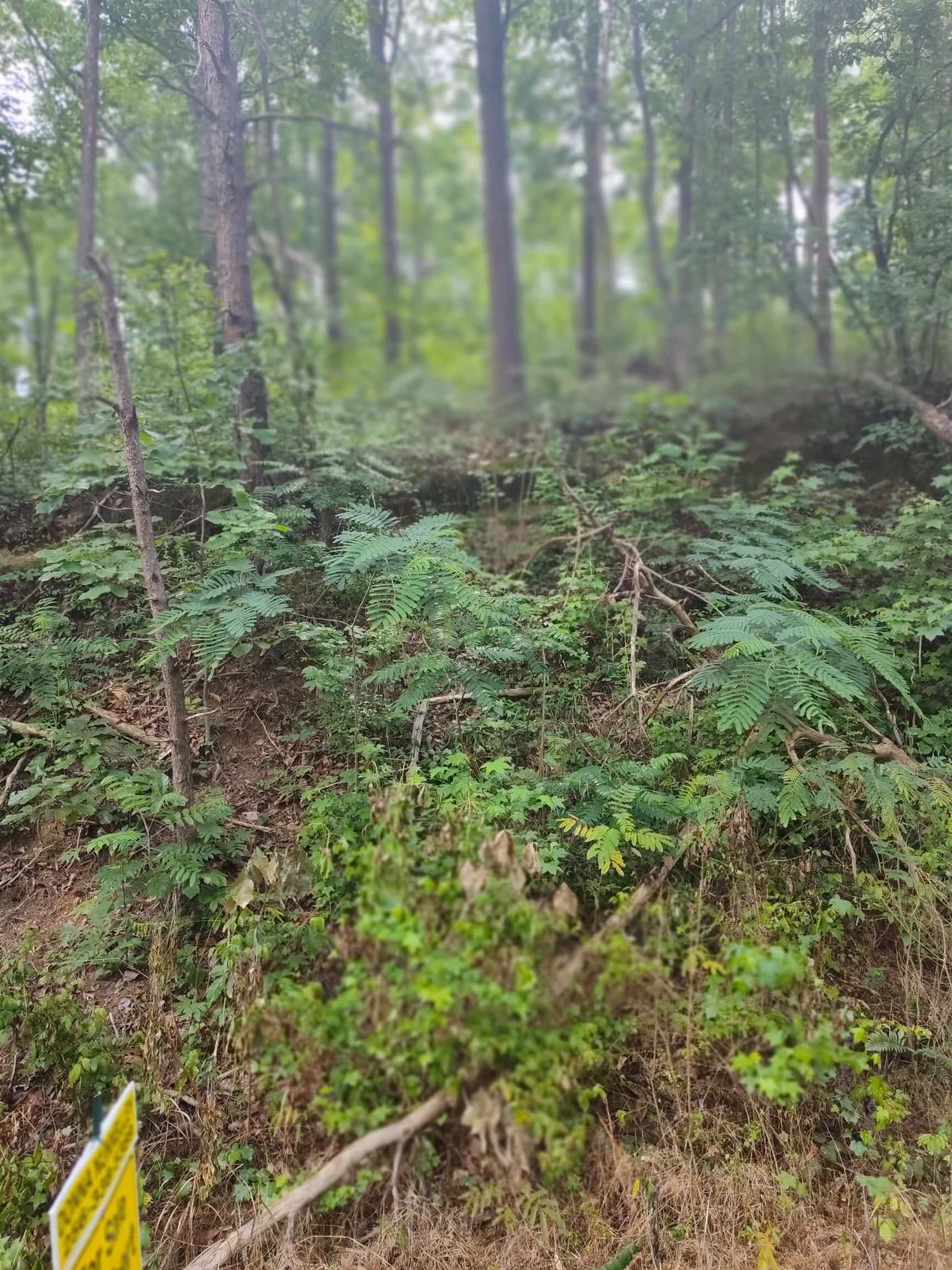 0 Co Rd  127 lot 1 & 2