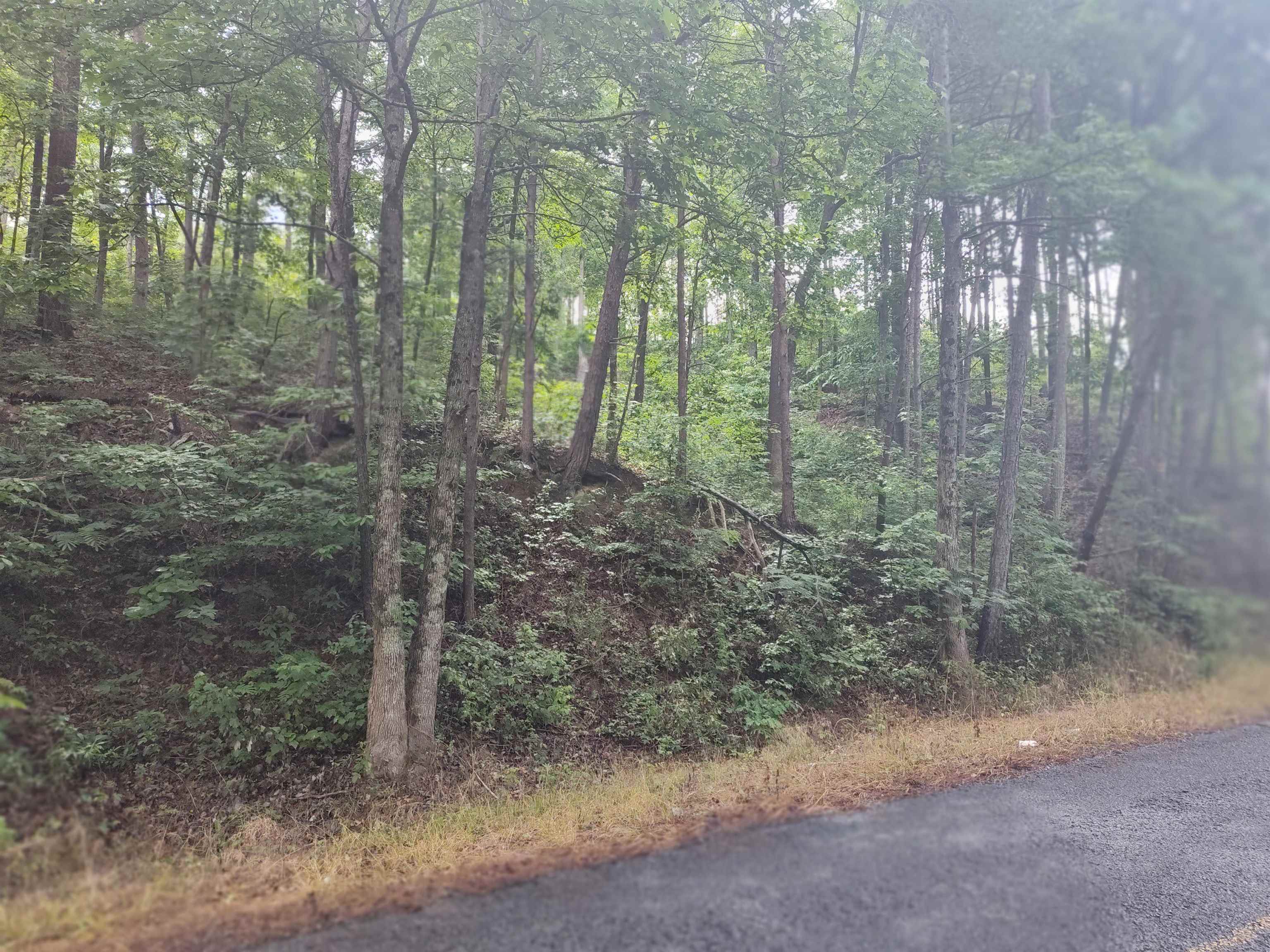 0 Co Rd  127 lot 1 & 2