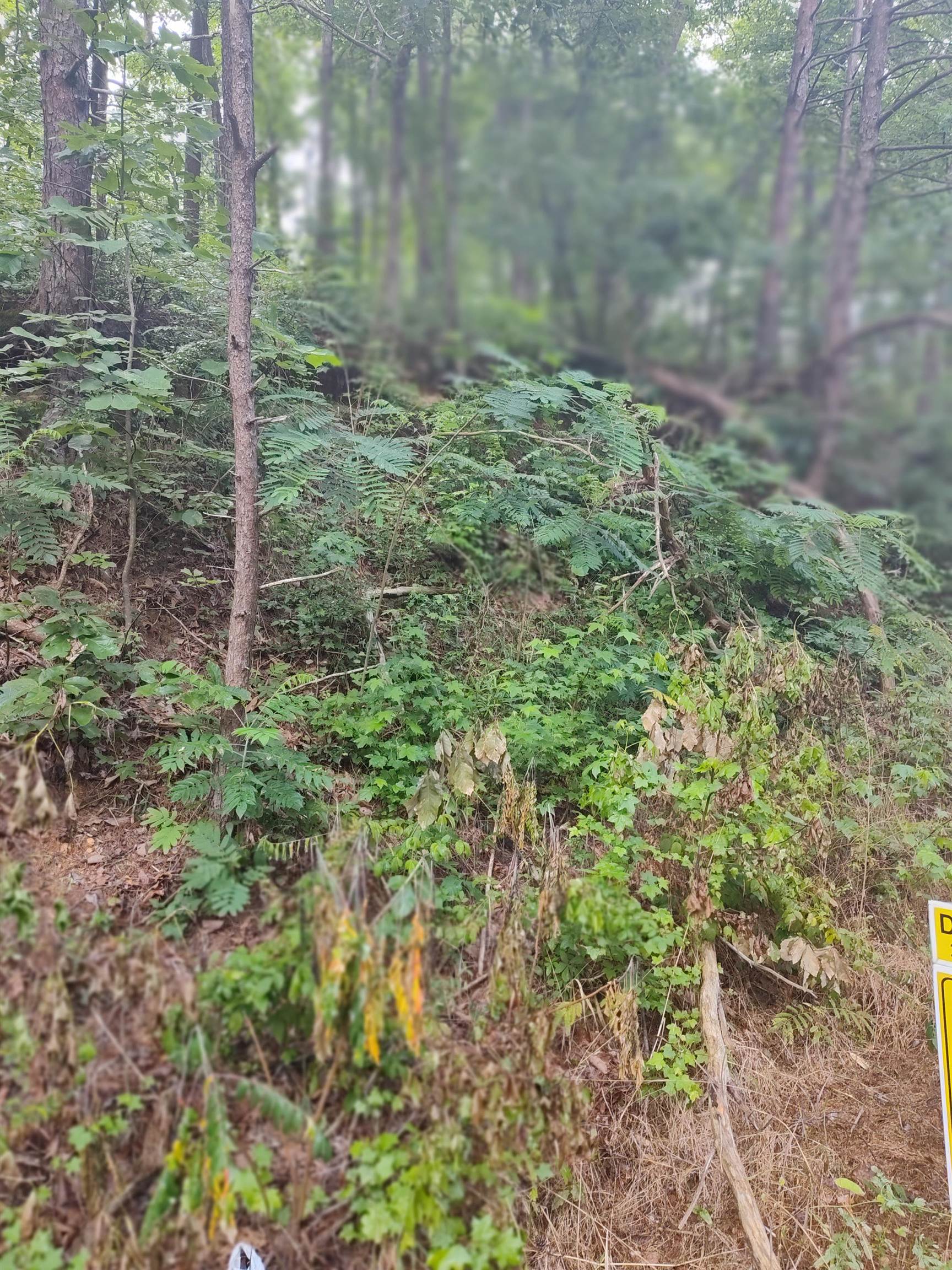 0 Co Rd  127 lot 1 & 2