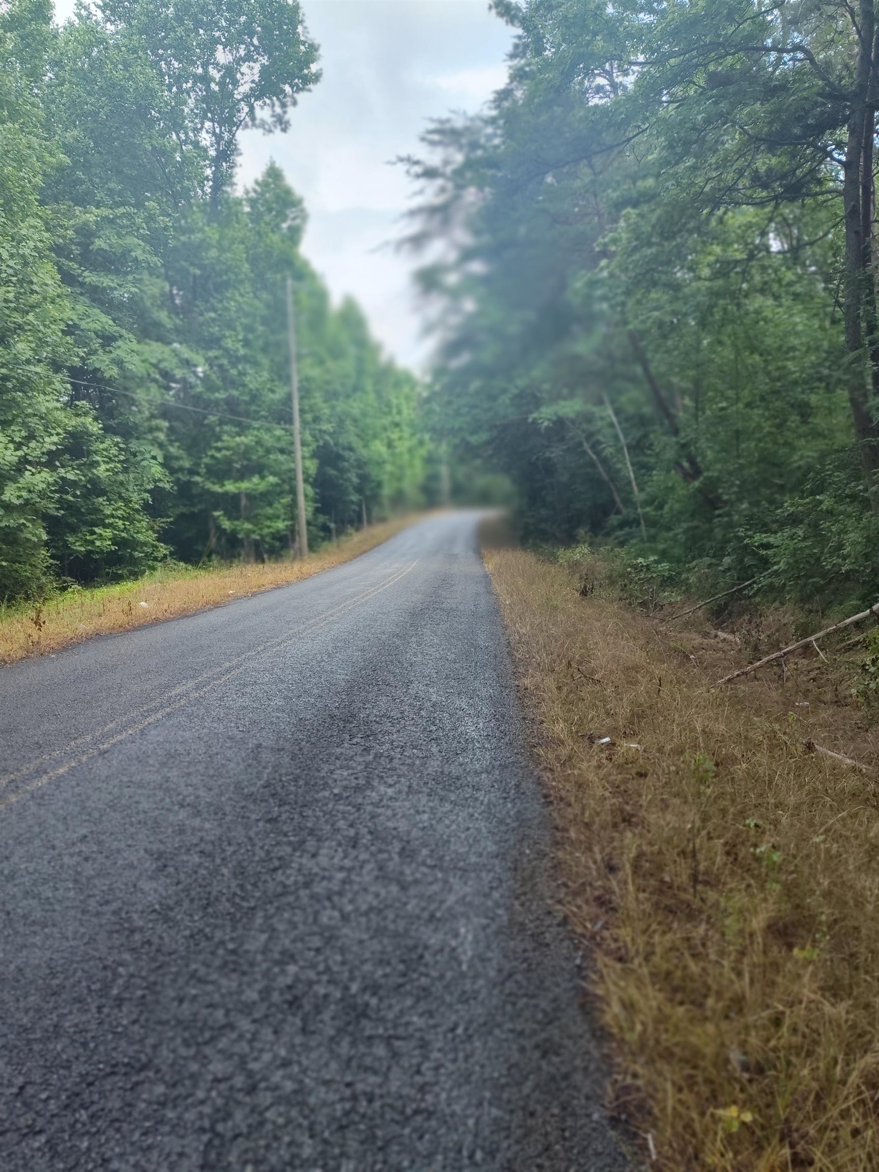 0 Co Rd  127 lot 1 & 2