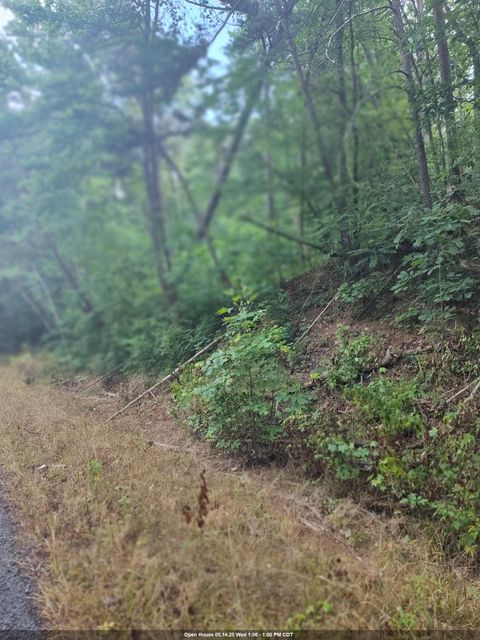 0 Co Rd 127 lot 1 & 2 Bremen AL 35033