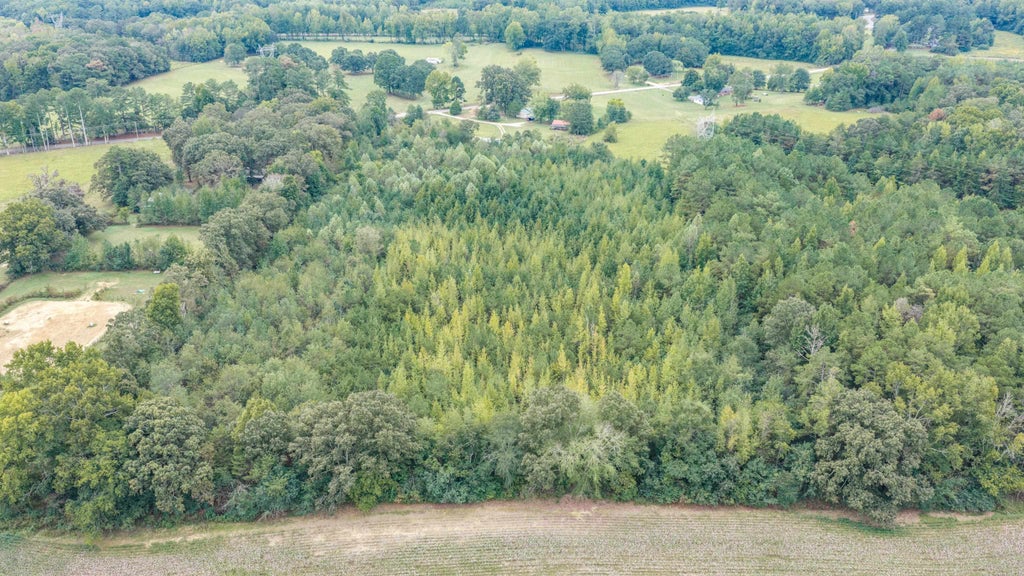 Photo of 3905 Co Rd 5, Florence, AL 35633 (MLS # 531421)