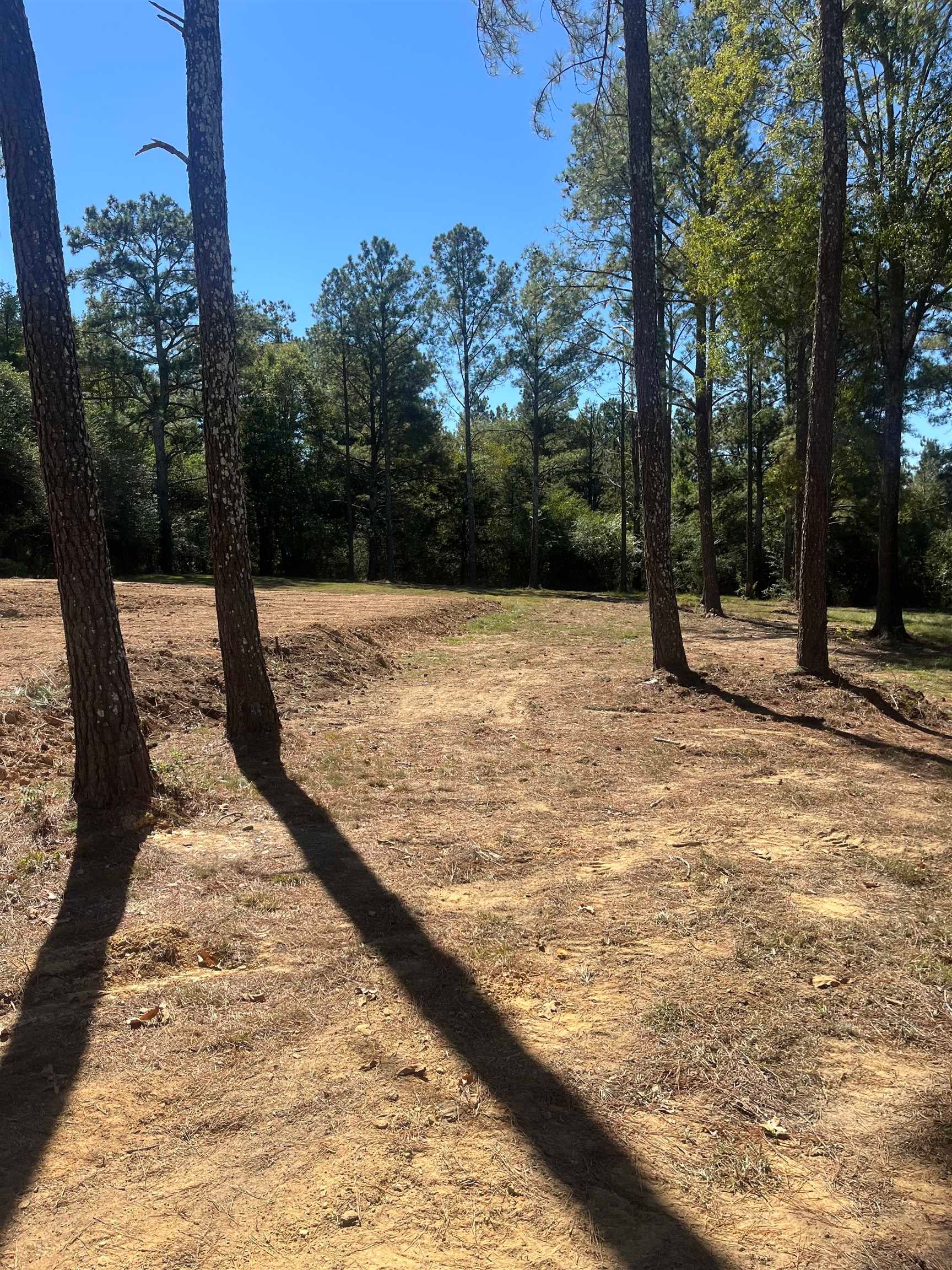 6841 Hwy 278 W