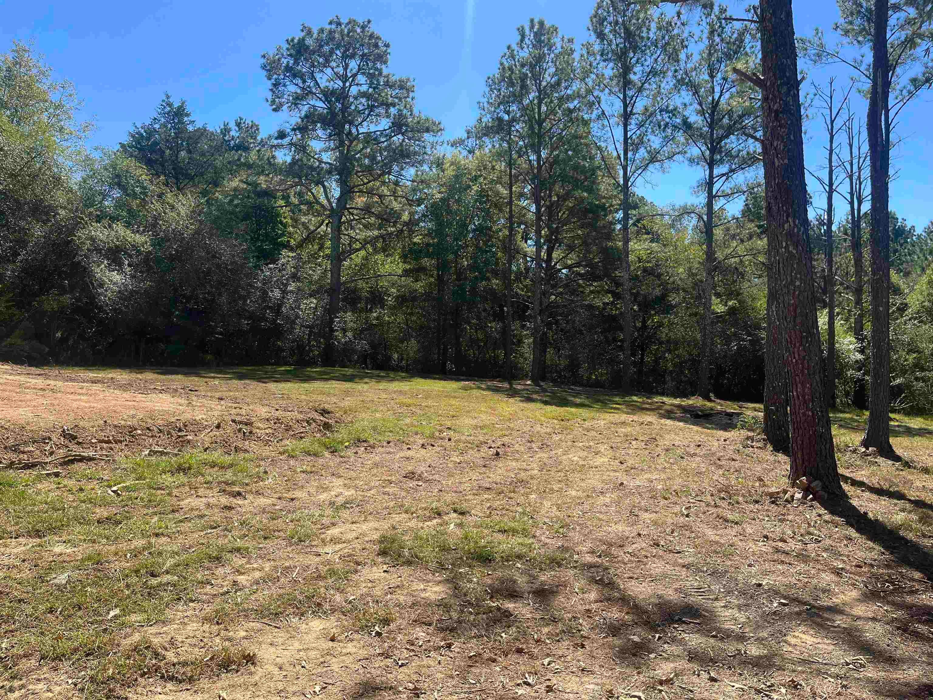 6841 Hwy 278 W