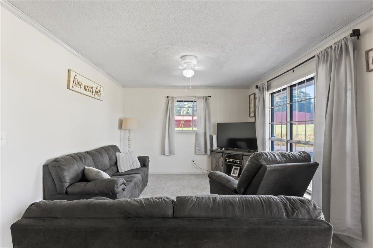 481 Co Rd 945