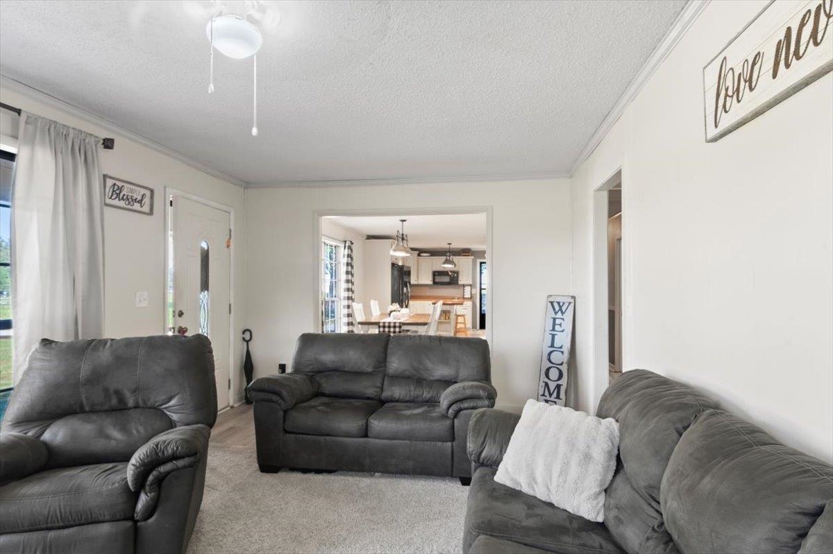 481 Co Rd 945