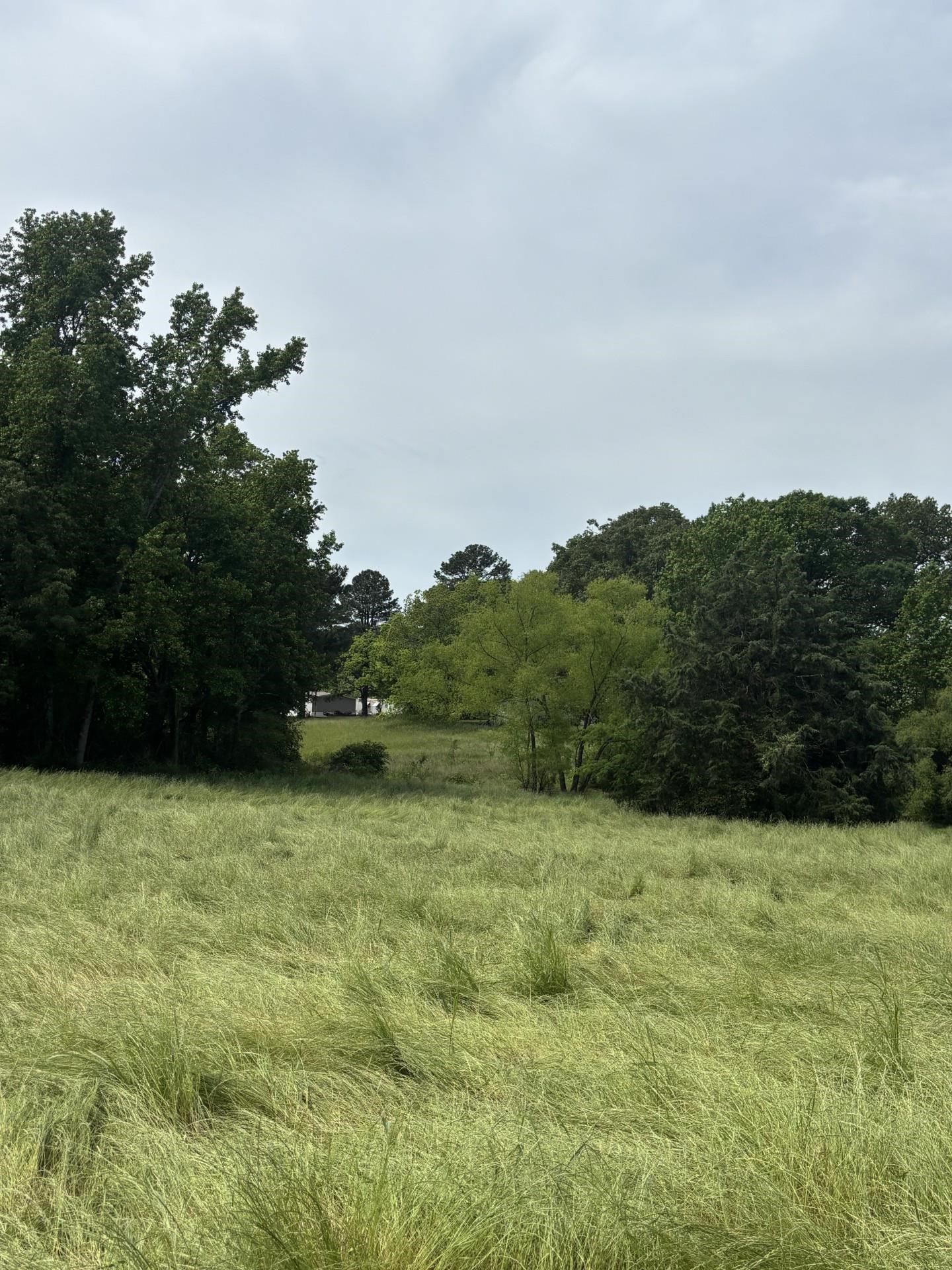 4021 Co Rd 747