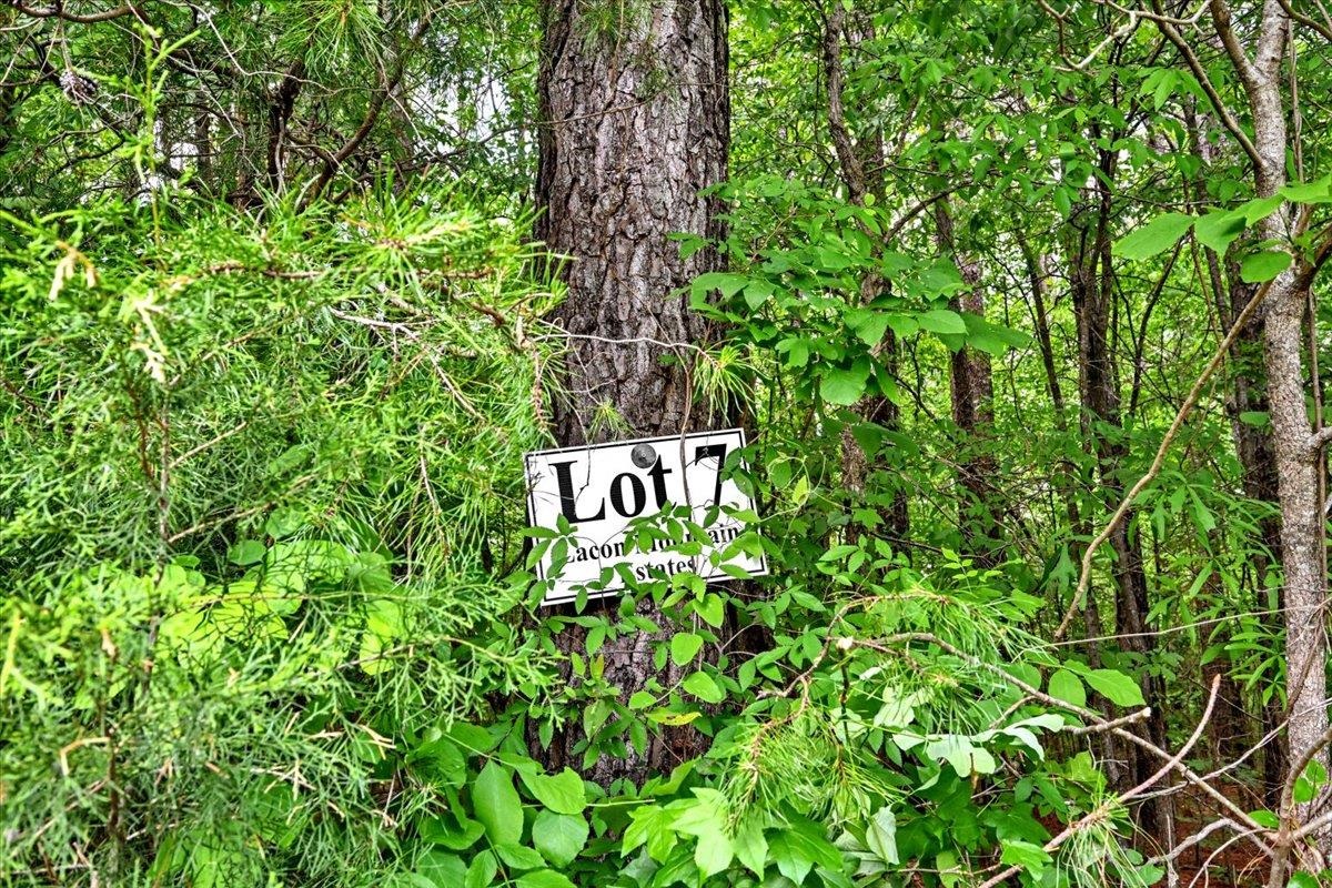 Lot 7 Mill Creek Rd