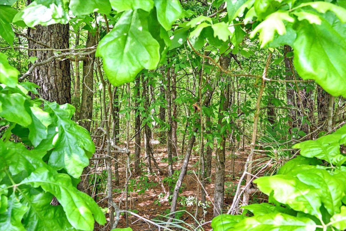 Lot 7 Mill Creek Rd