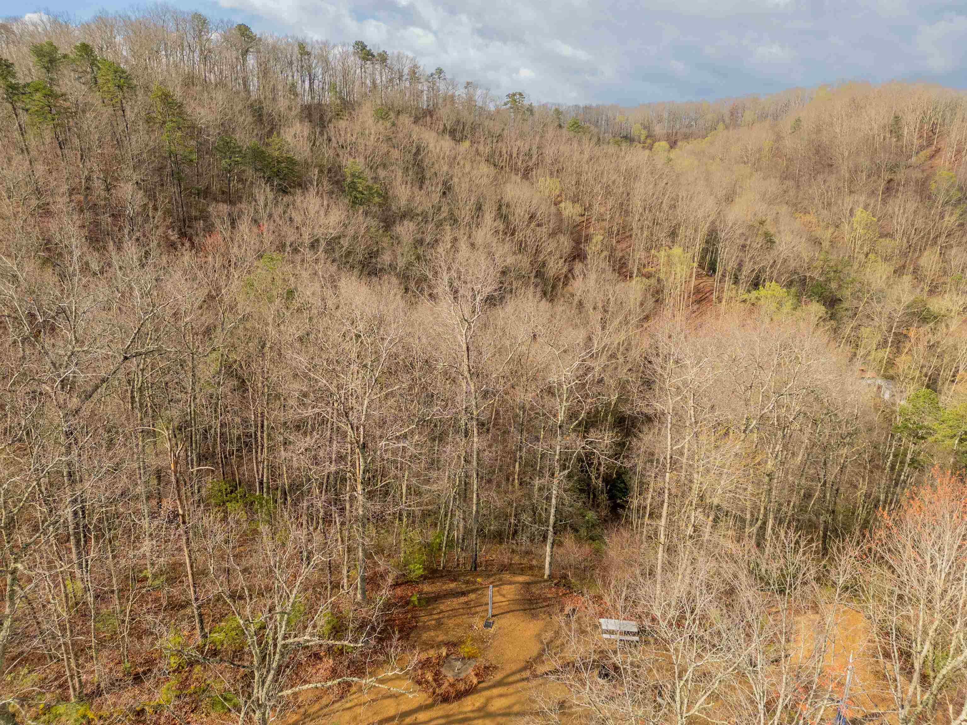 Marion, Virginia 24354, United States, ,Land,Active,59874