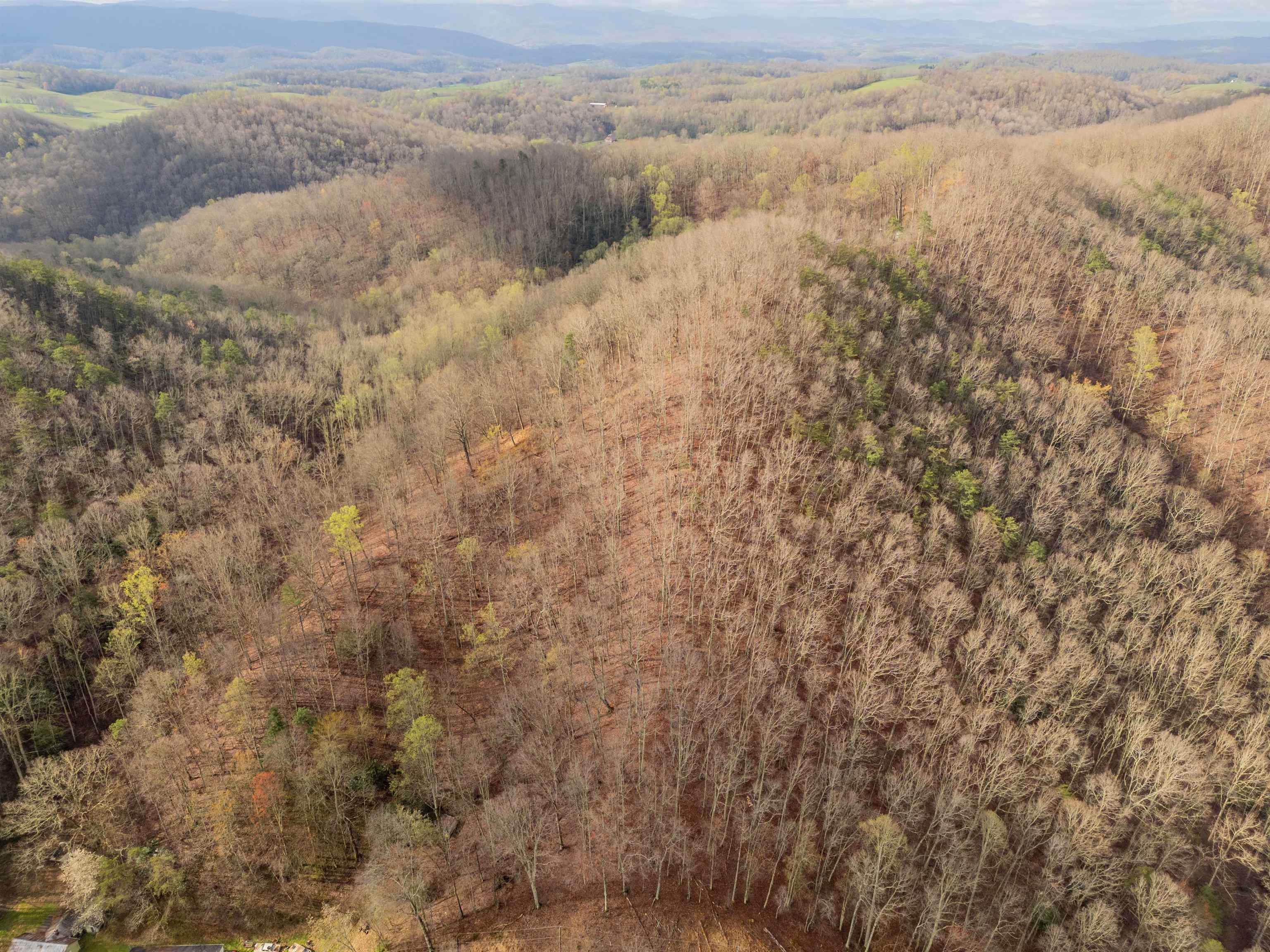 Marion, Virginia 24354, United States, ,Land,Active,59874