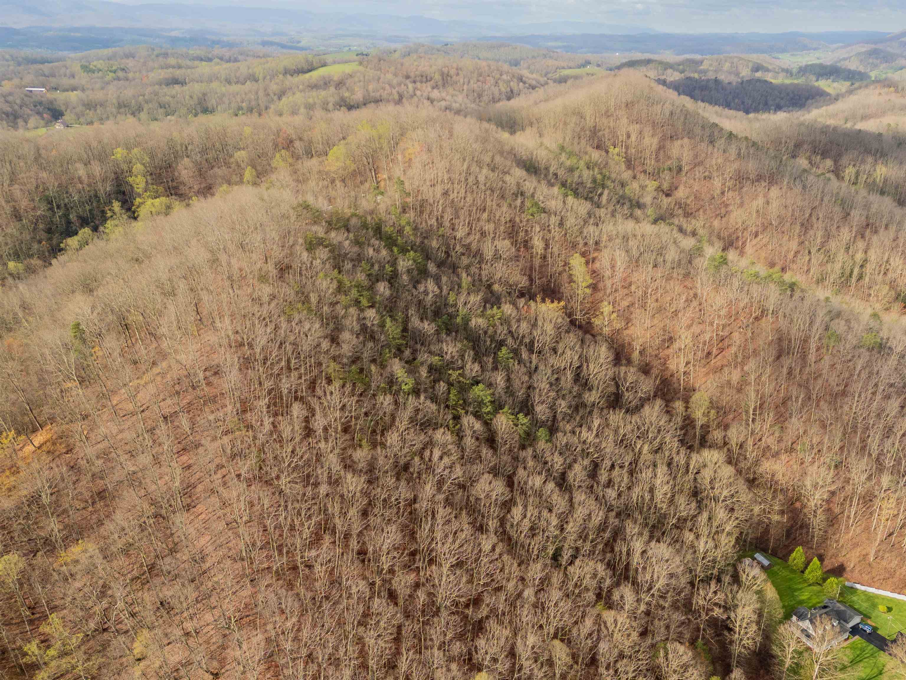 Marion, Virginia 24354, United States, ,Land,Active,59874