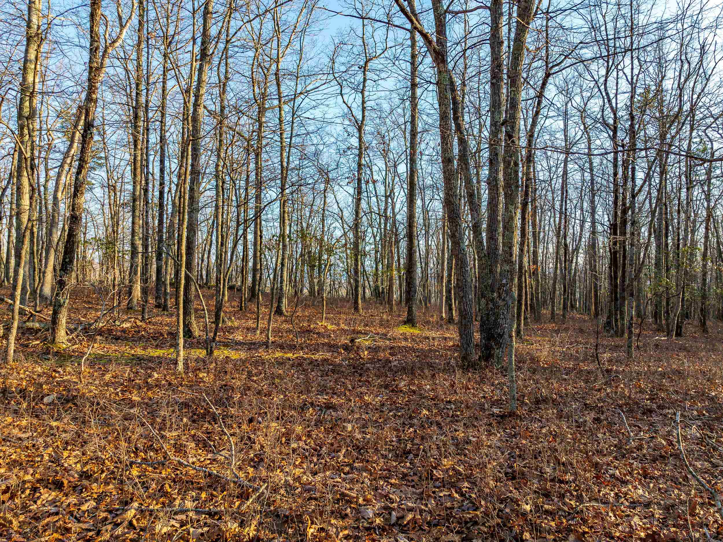 Blacksburg, Virginia 24060, United States, ,Land,Pending,9396