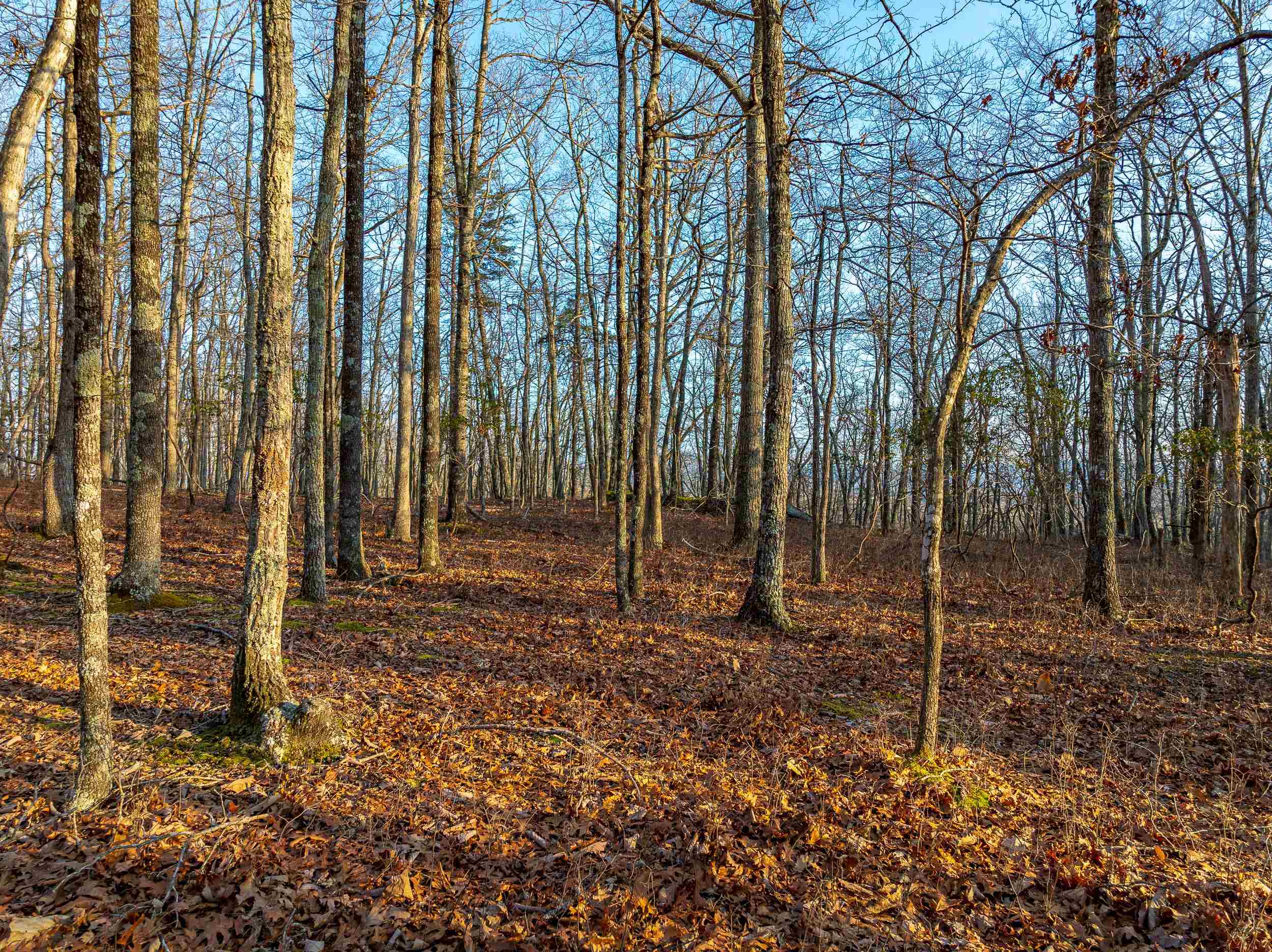 Blacksburg, Virginia 24060, United States, ,Land,Pending,9396