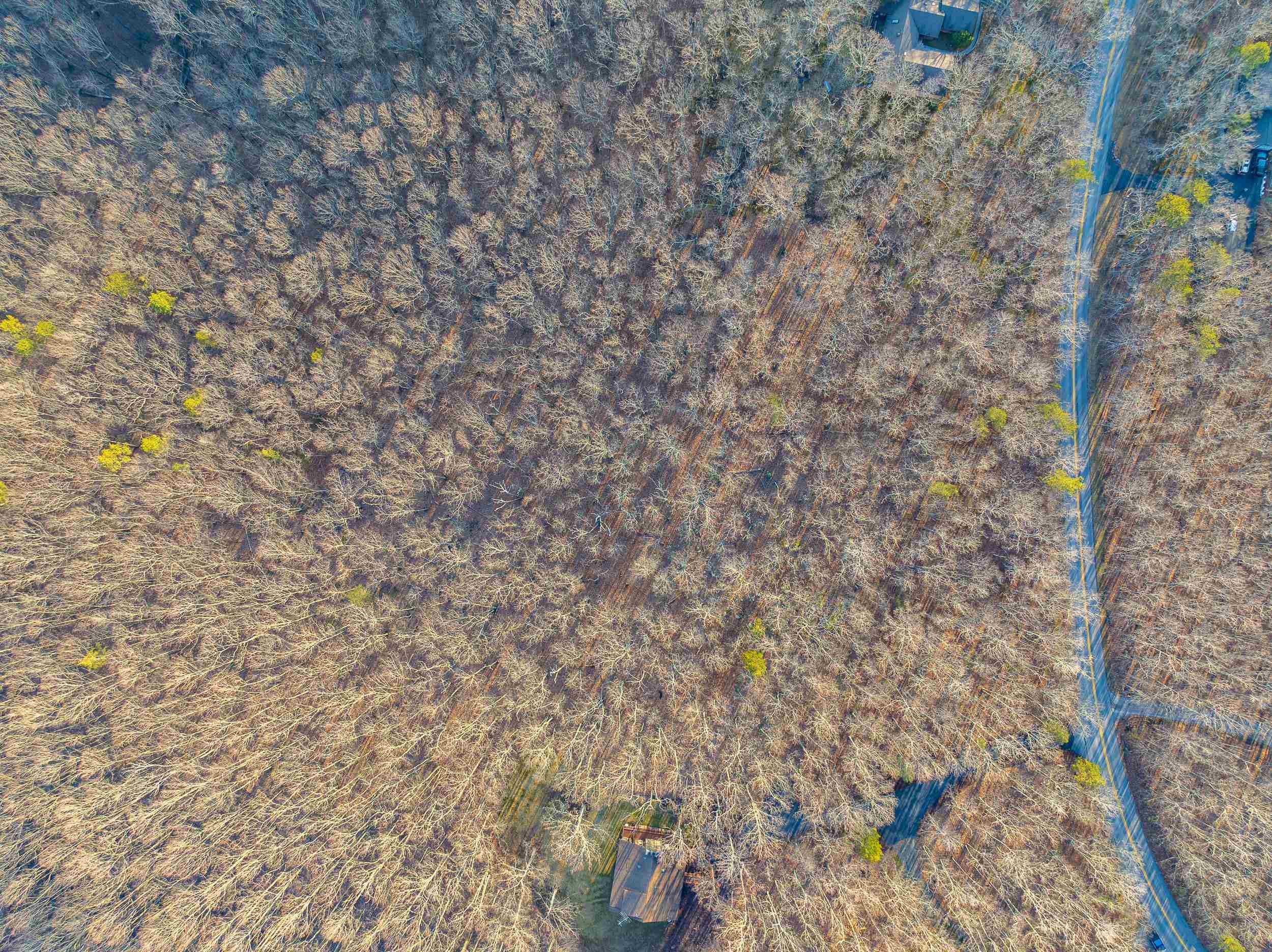 Blacksburg, Virginia 24060, United States, ,Land,Pending,9396