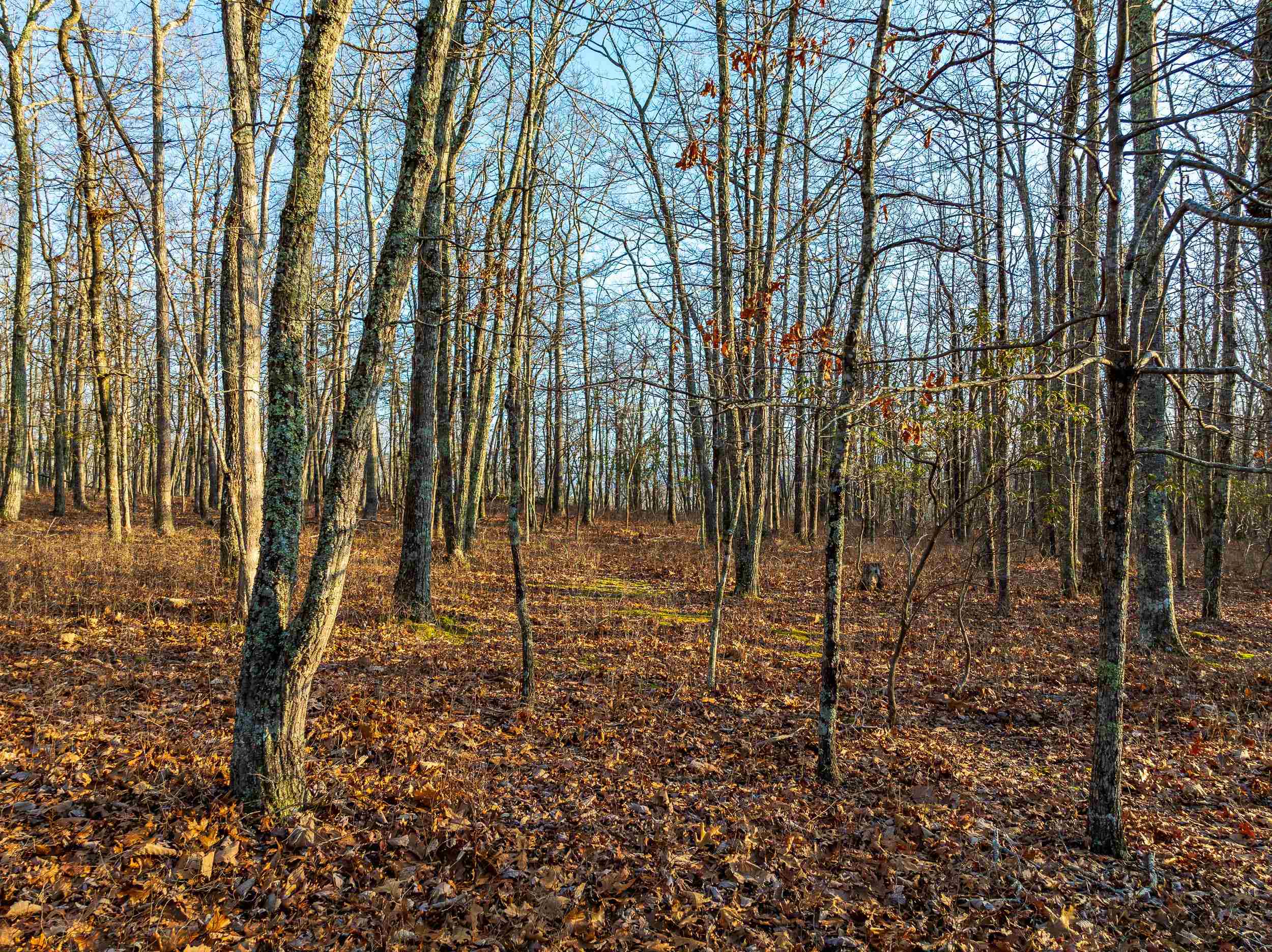 Blacksburg, Virginia 24060, United States, ,Land,Pending,9396