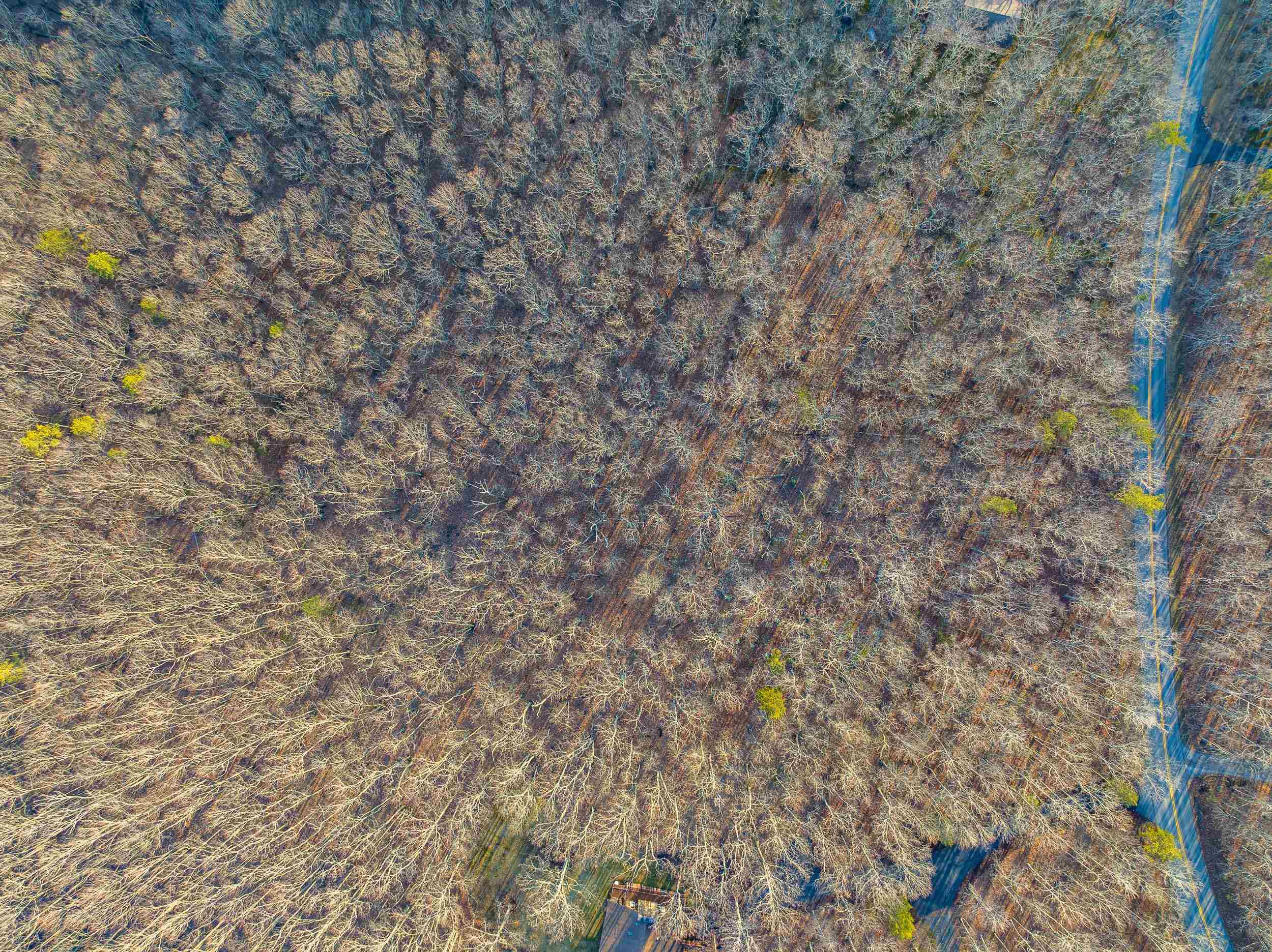 Blacksburg, Virginia 24060, United States, ,Land,Pending,9396