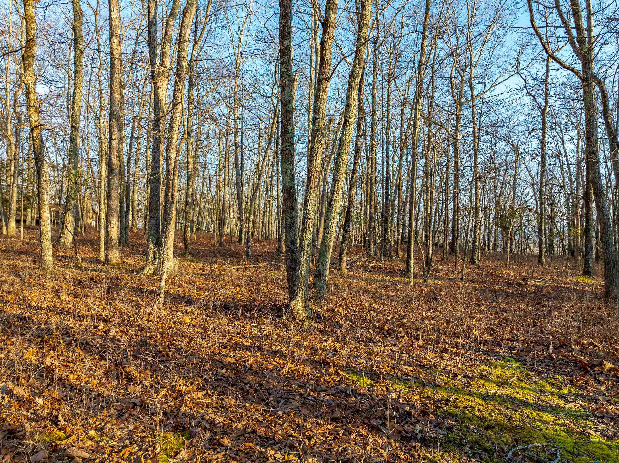 Blacksburg, Virginia 24060, United States, ,Land,Pending,9396