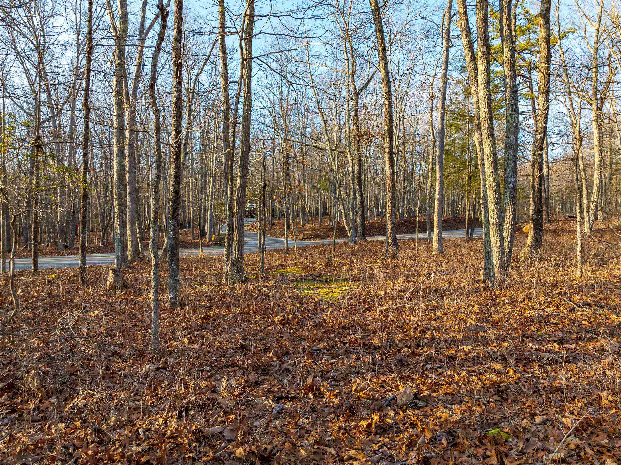 Blacksburg, Virginia 24060, United States, ,Land,Pending,9396