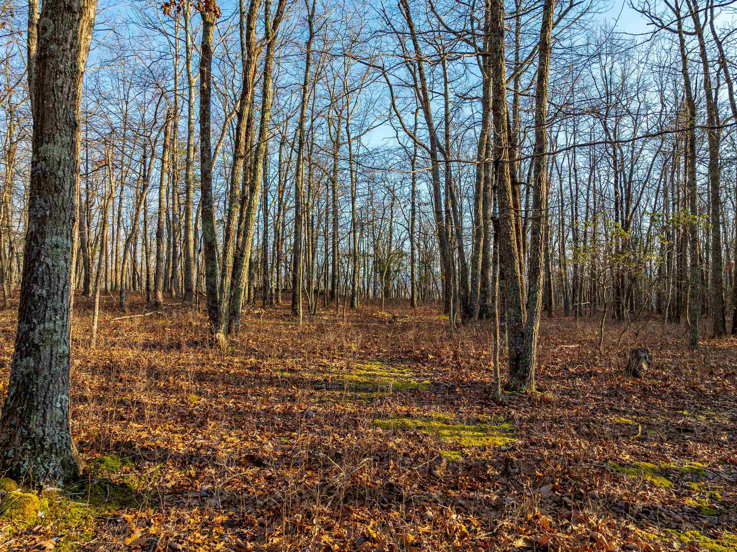 Blacksburg, Virginia 24060, United States, ,Land,Pending,9396