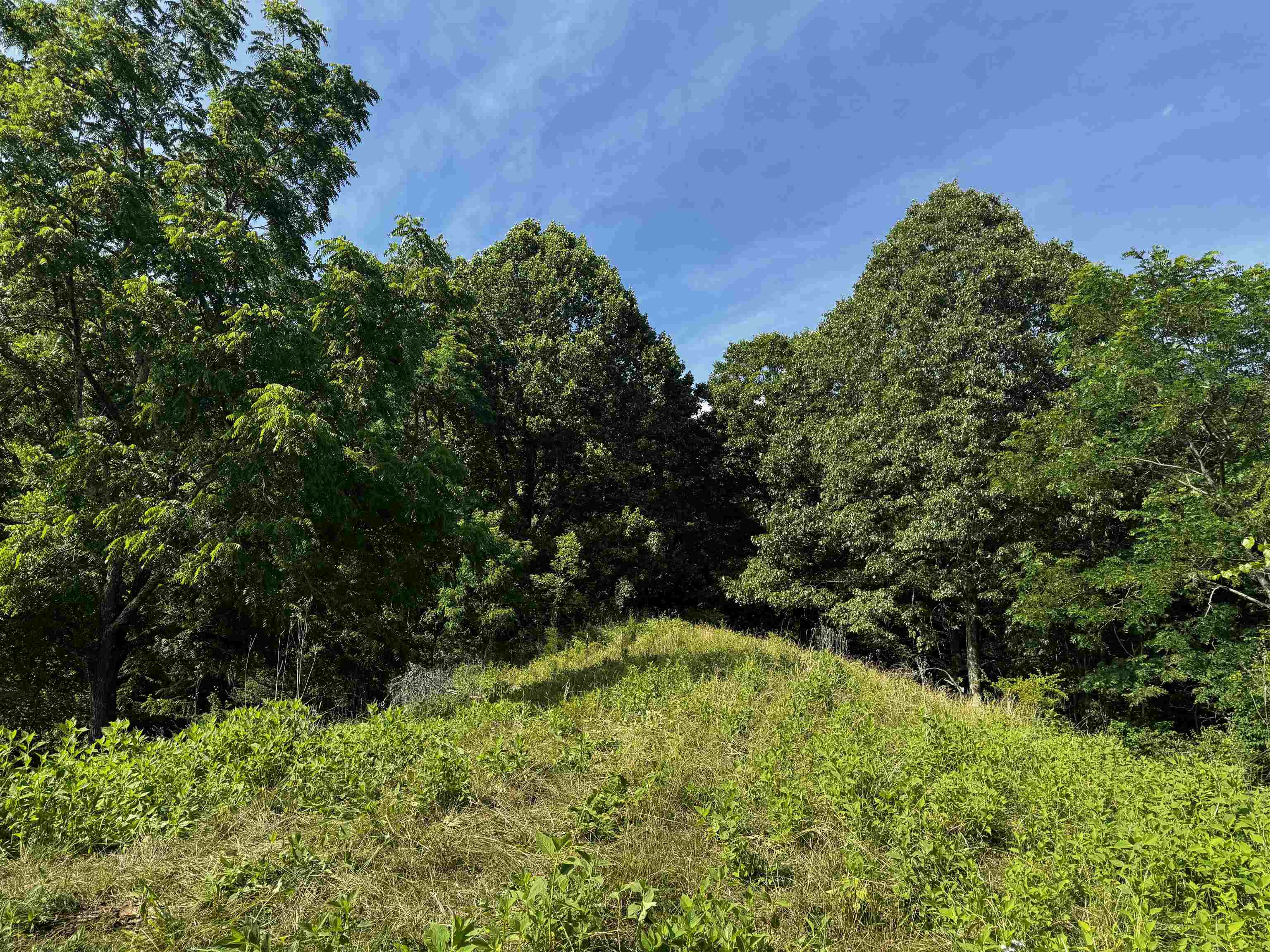 TBD Laurel Springs Road