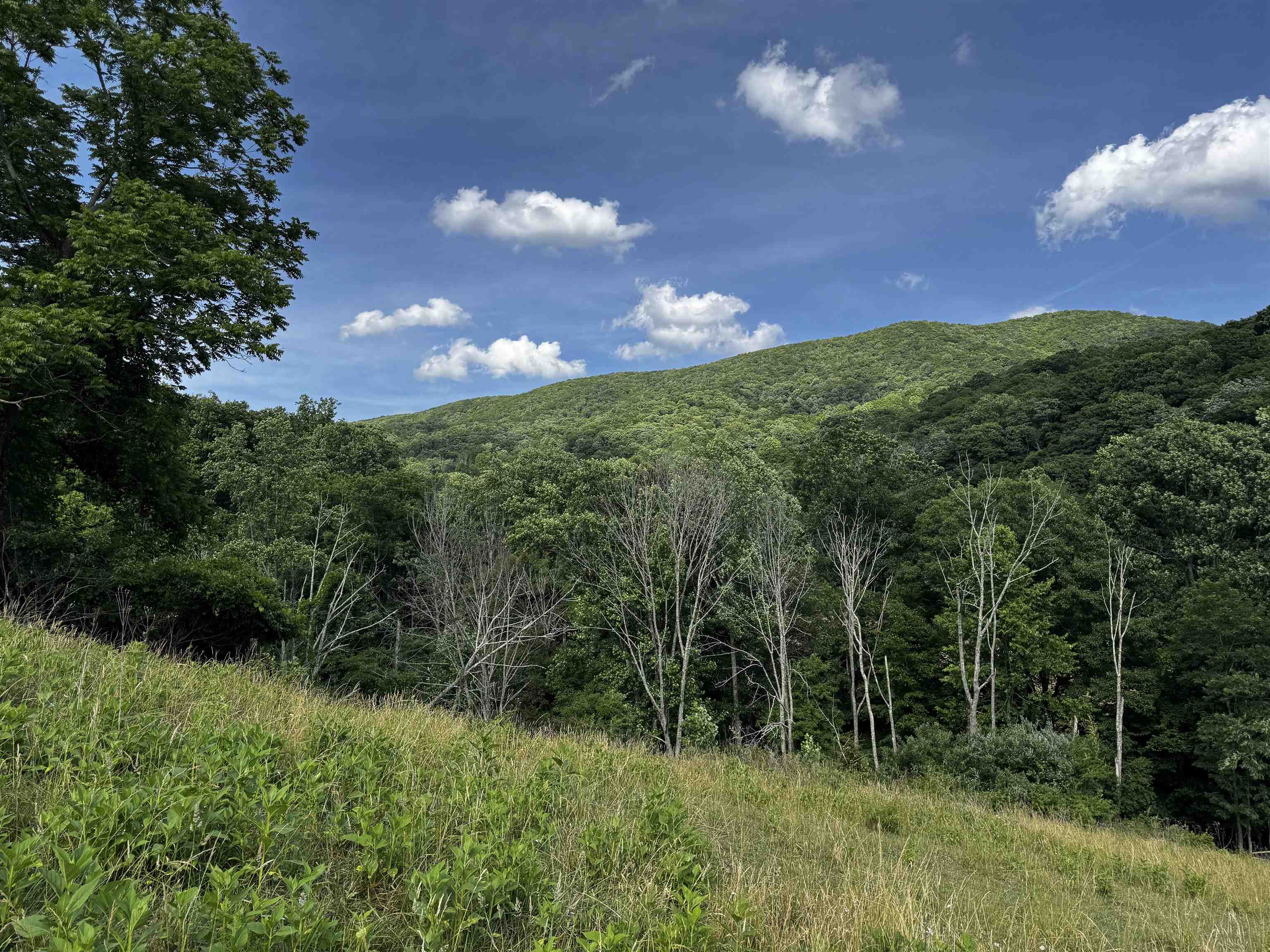TBD Laurel Springs Road