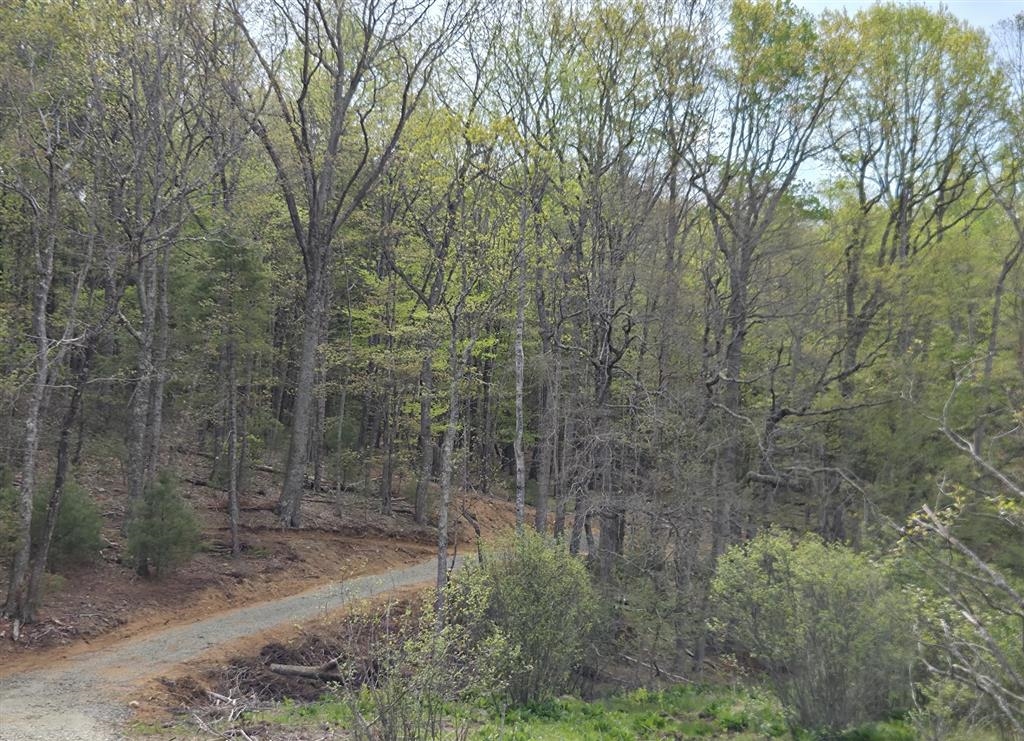 271 Spring Dale Road SW
