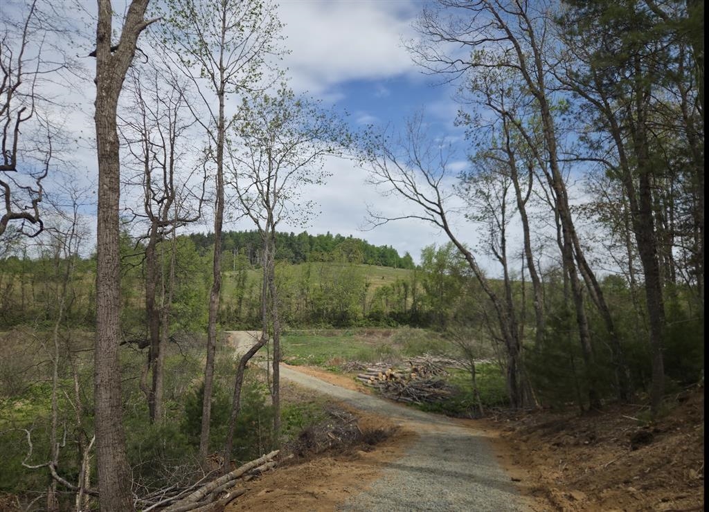 271 Spring Dale Road SW