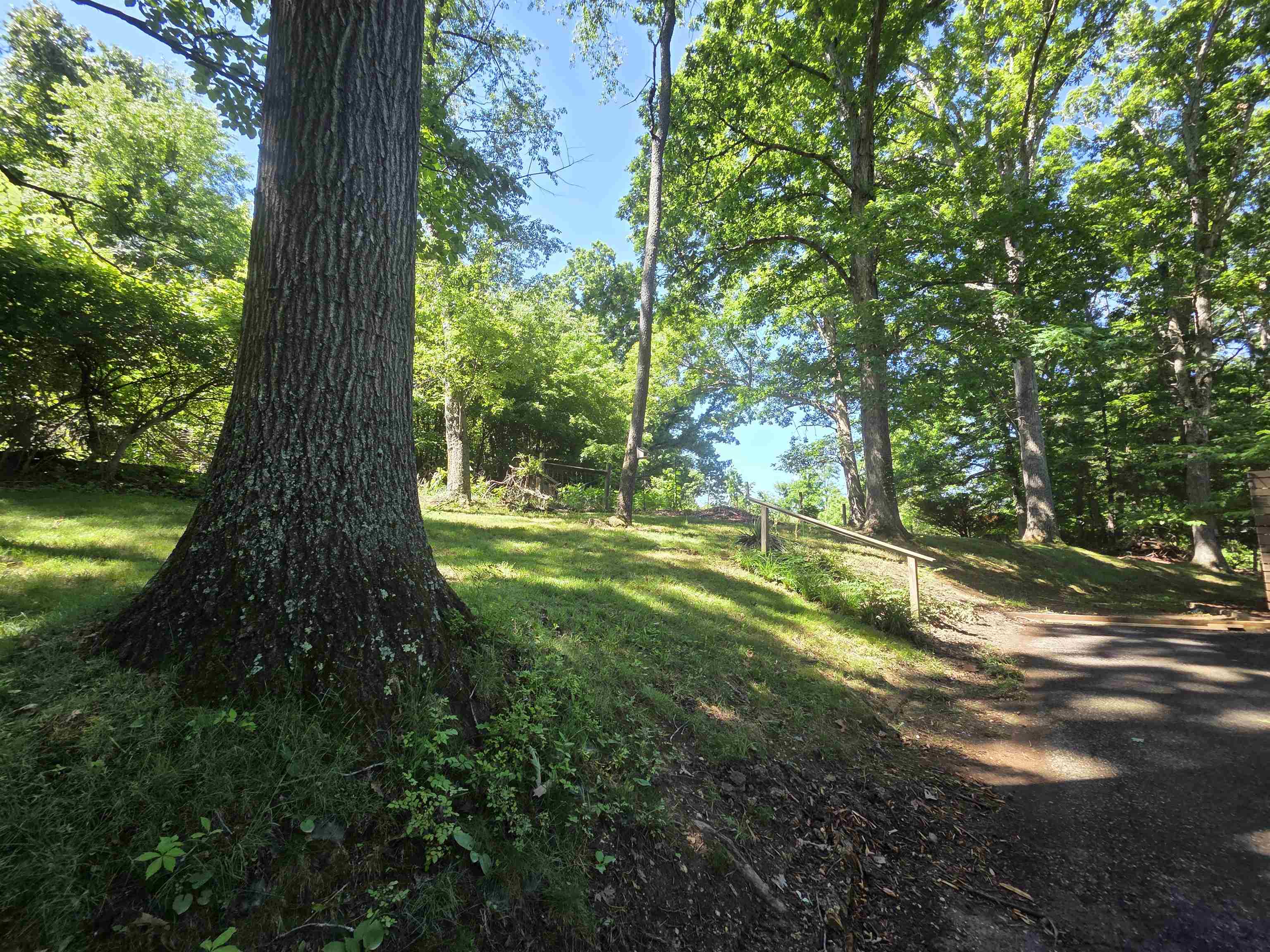 7228 Timberlane Drive