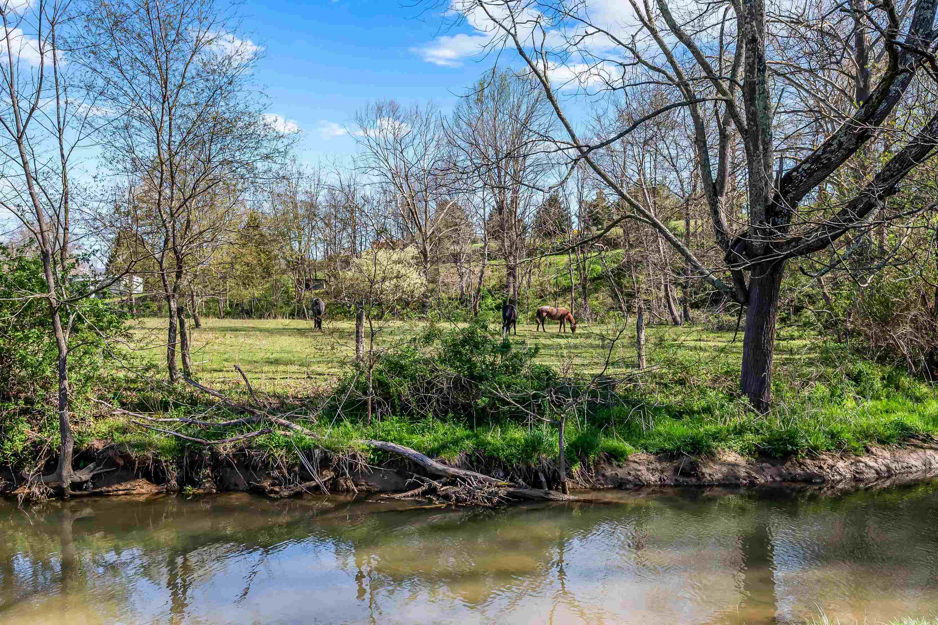 Rural Retreat, Virginia 24368, United States, 3 Bedrooms Bedrooms, ,3 BathroomsBathrooms,Residential,Pending,59132
