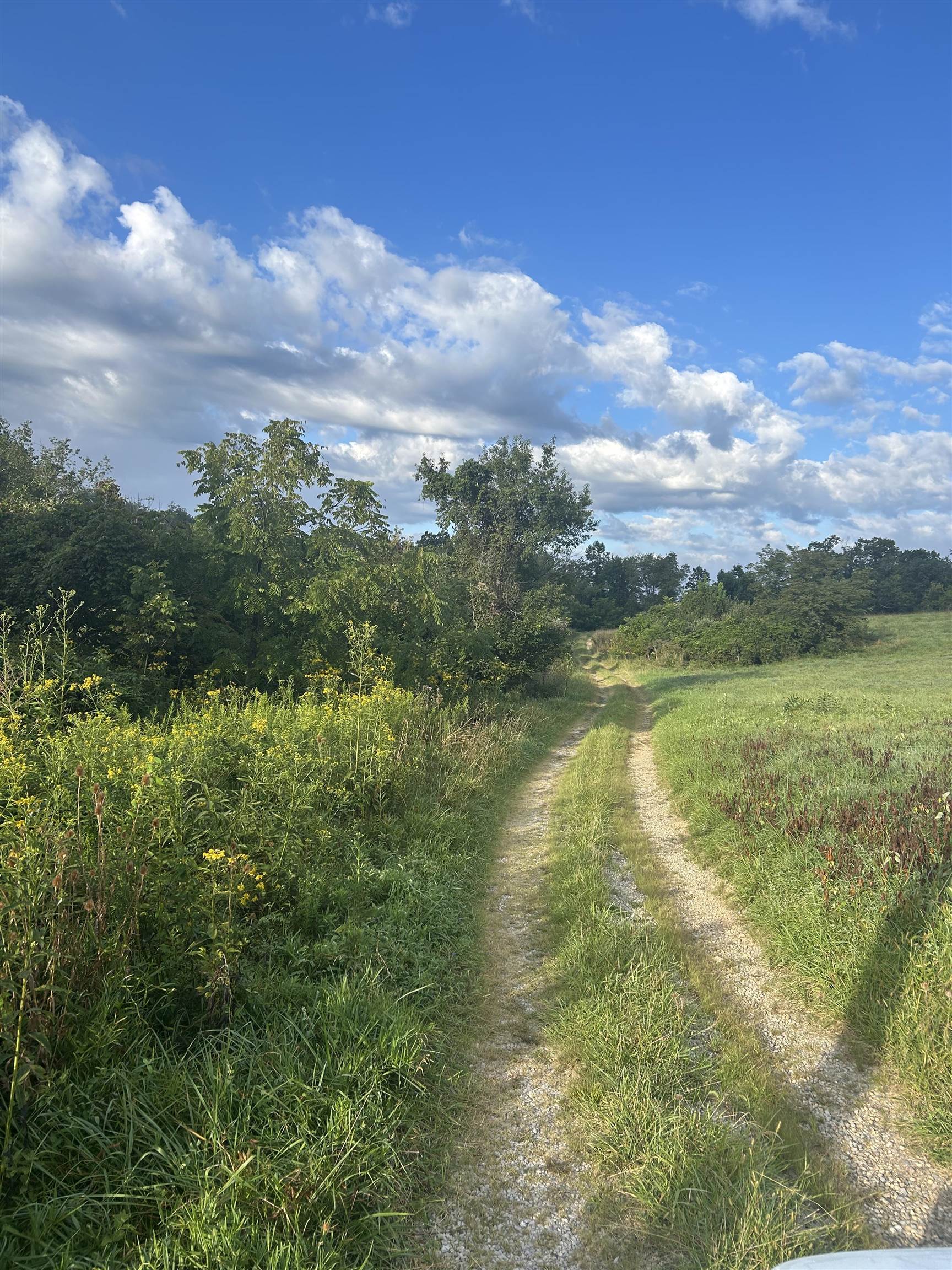 TBD Hoges Orchard Lane