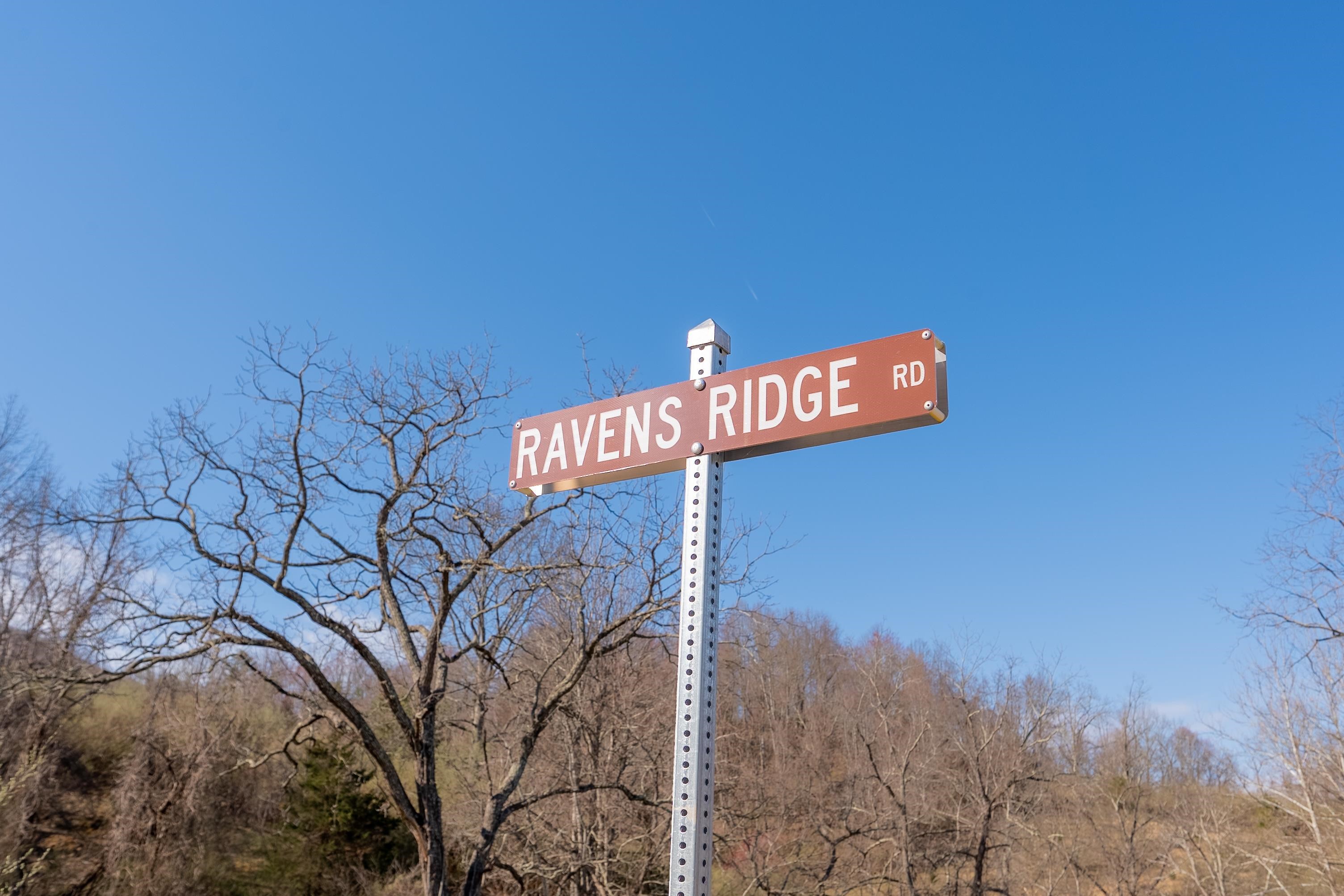 Pearisburg, Virginia 24134, United States, ,Land,Pending,99613