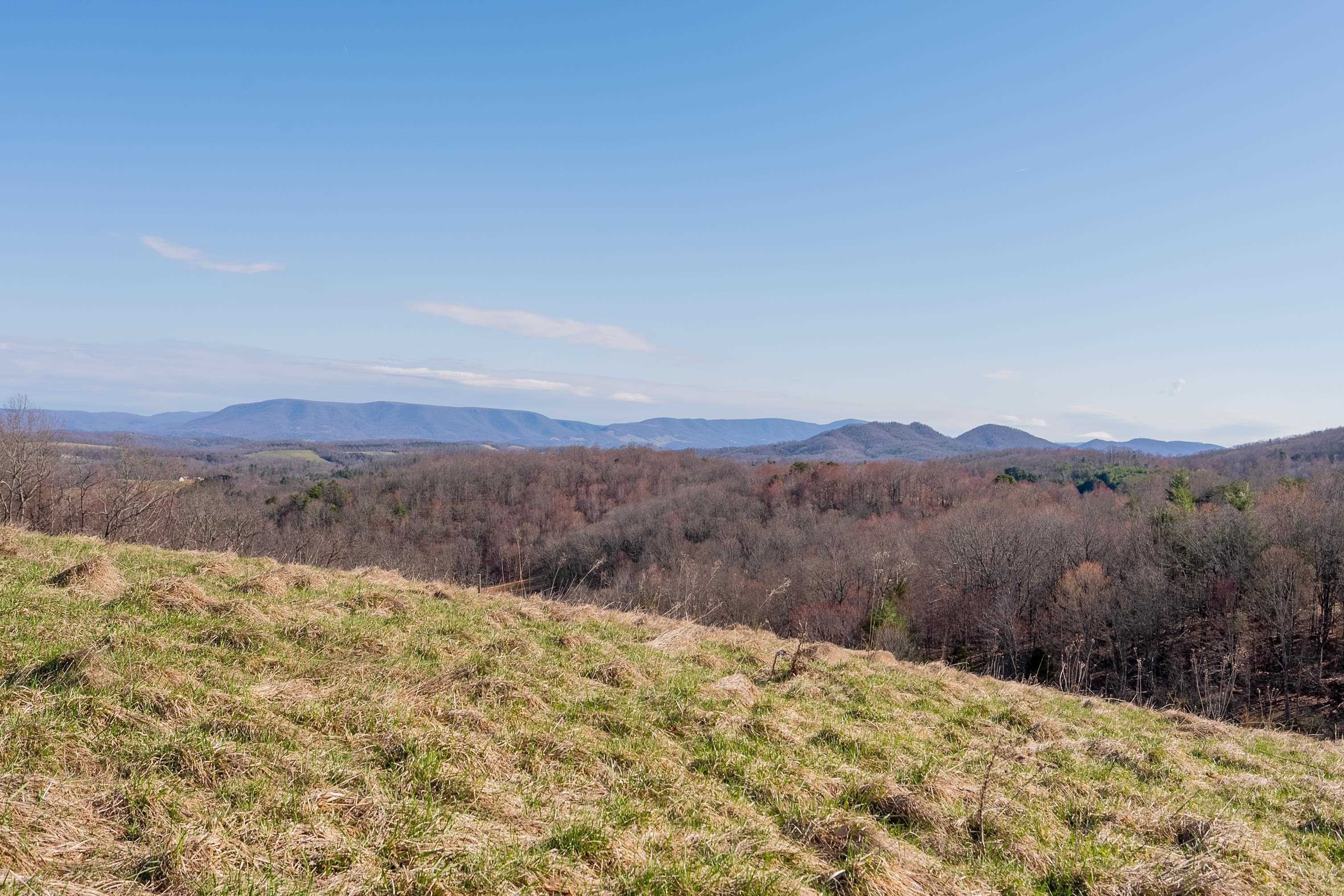 Pearisburg, Virginia 24134, United States, ,Land,Pending,99613